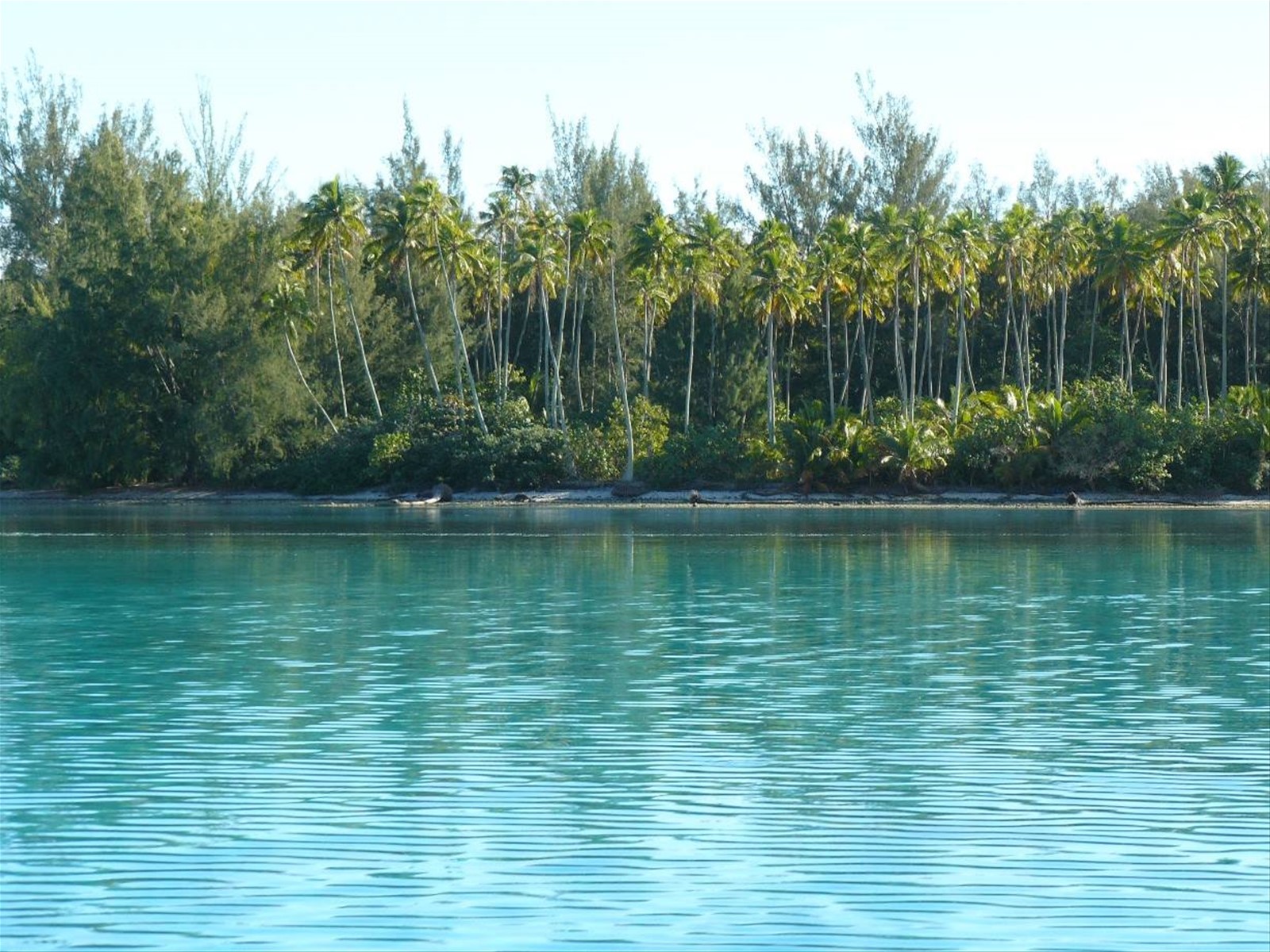 La costa di Moorea