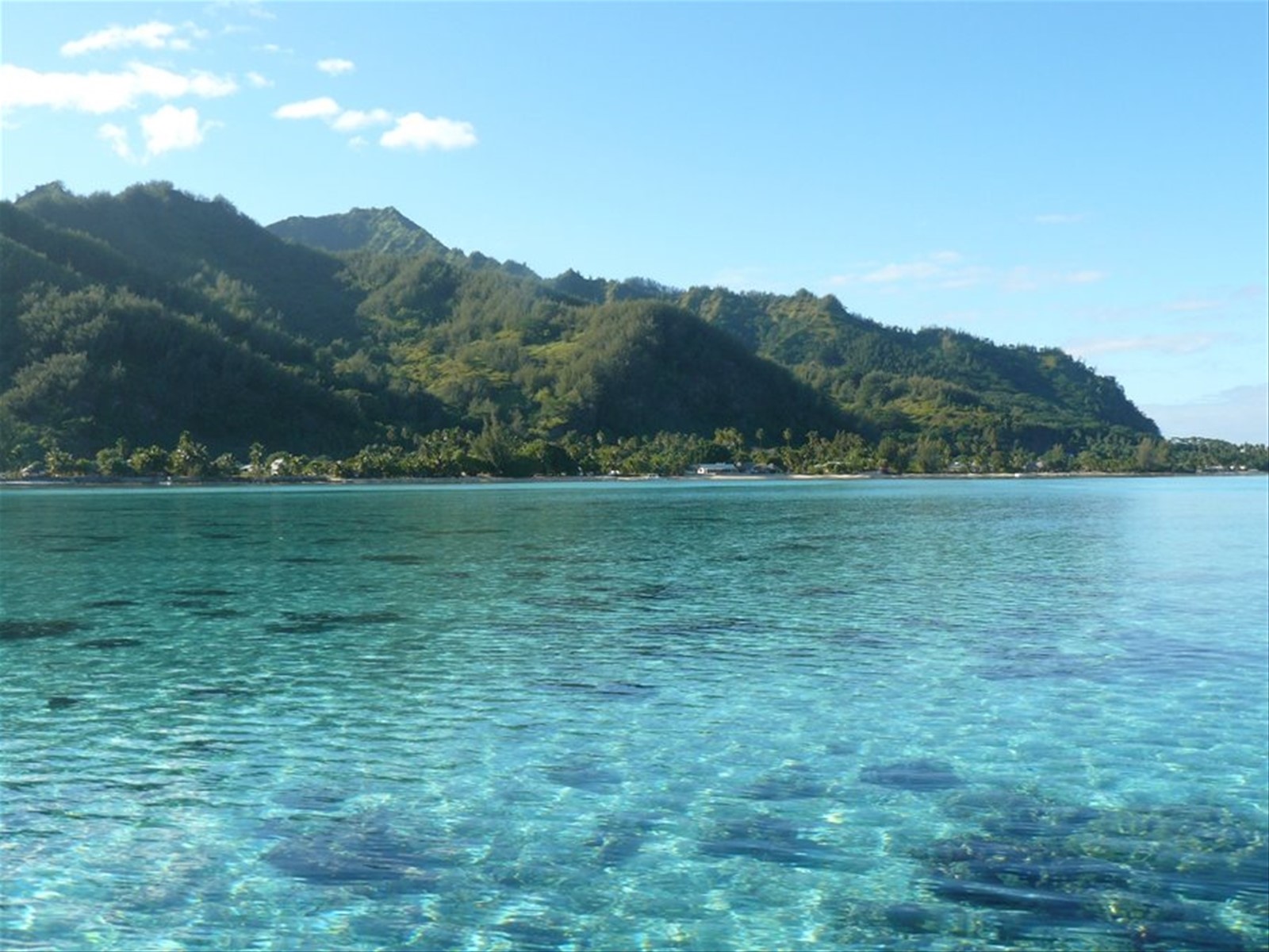 La costa di Moorea