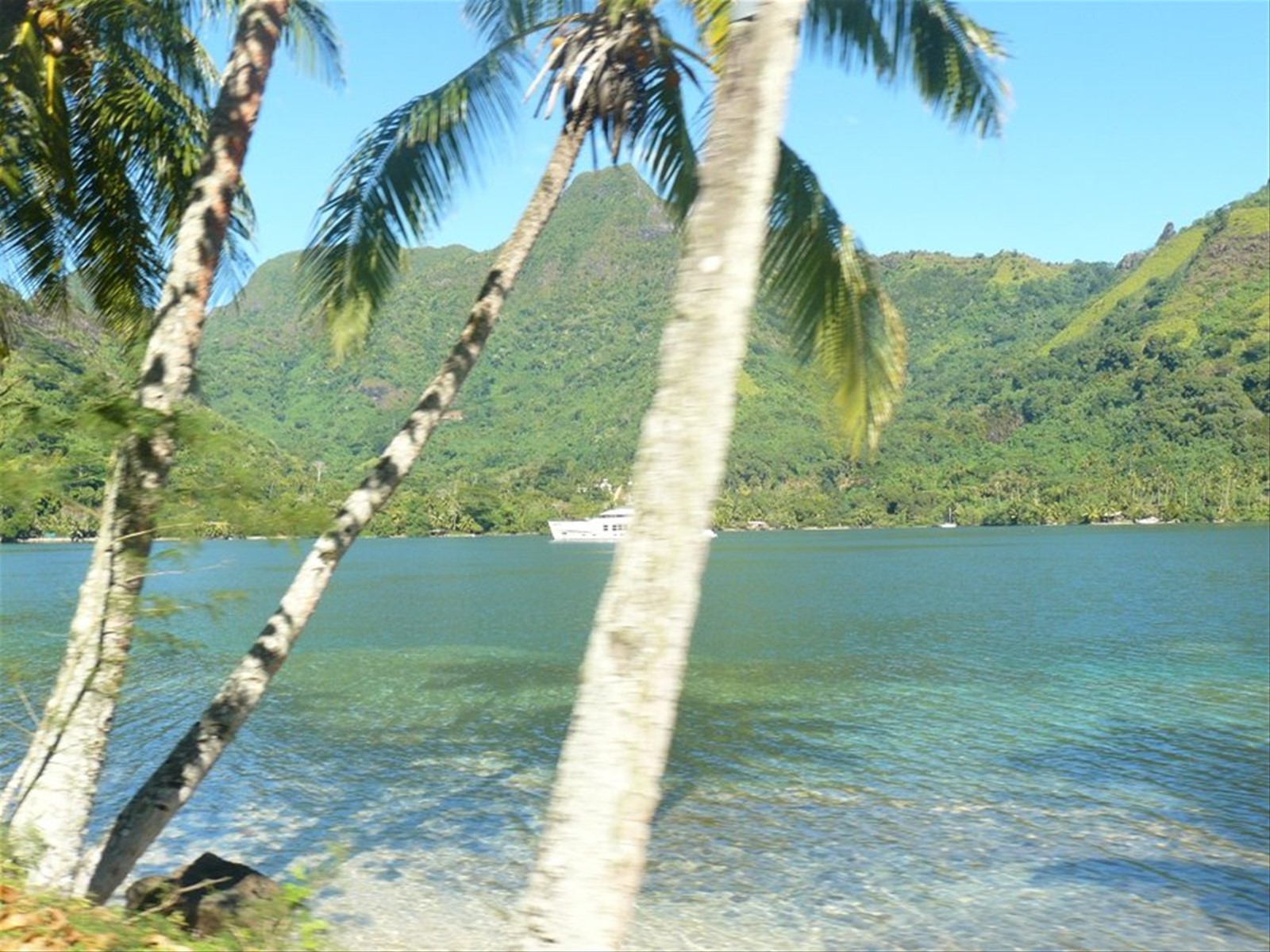Baia di Opunohu