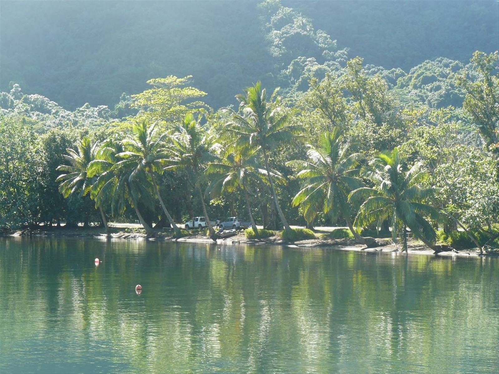 Baia di Opunohu
