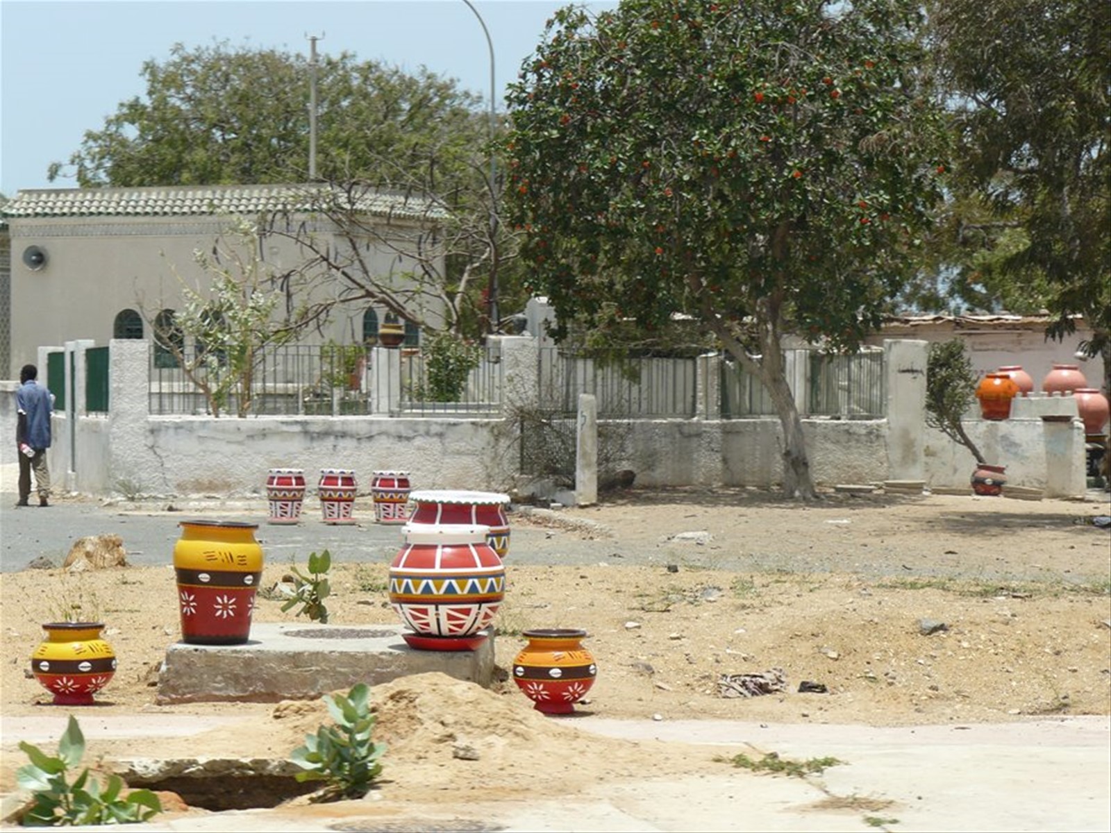 Foto di viaggio in SENEGAL