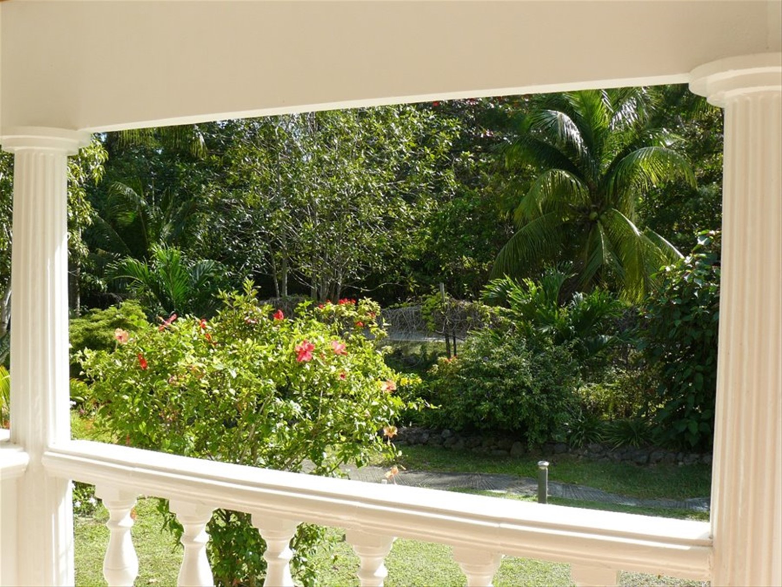 SkyBlue Guesthouse