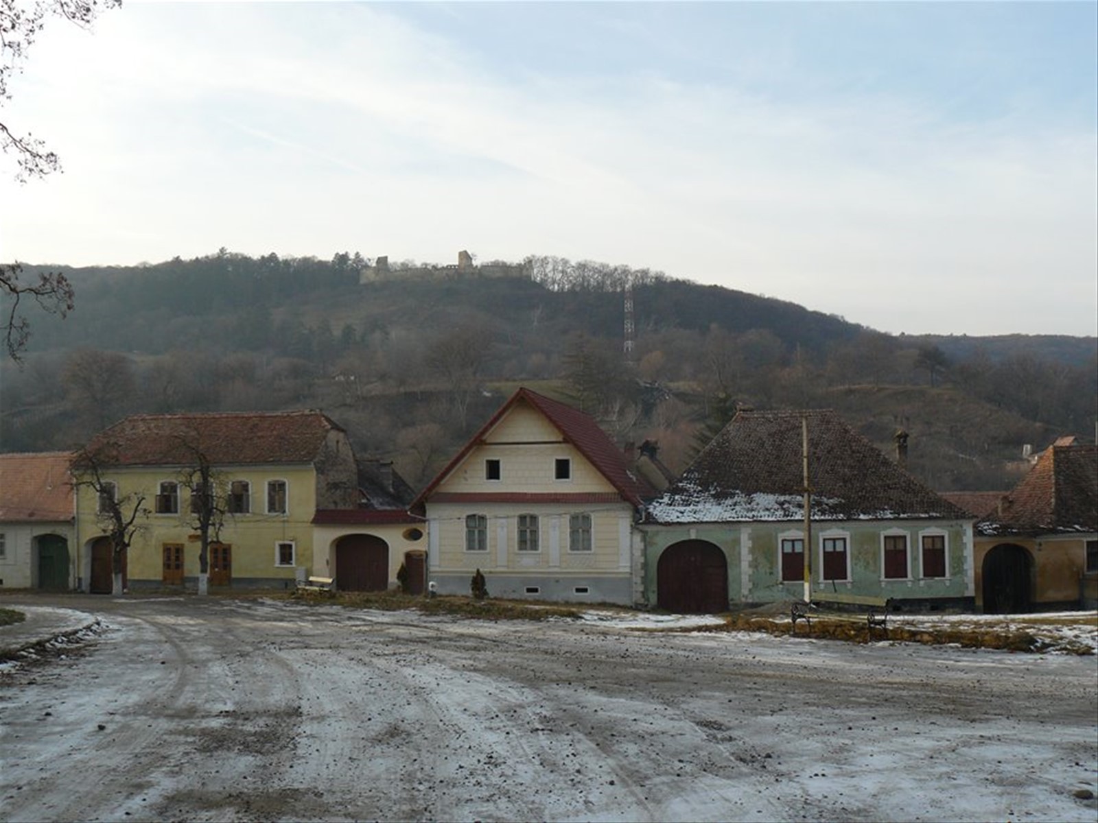 Saschiz