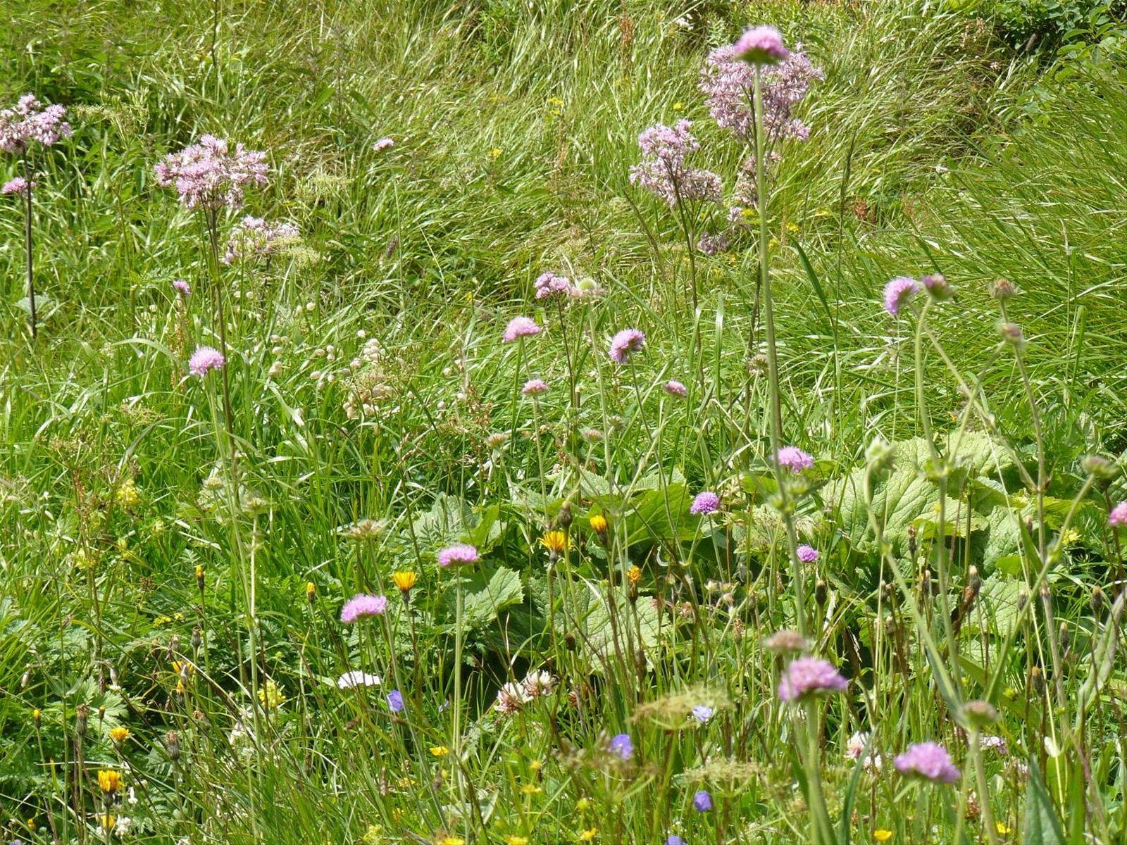 Grossgloktner Alpenstrasse