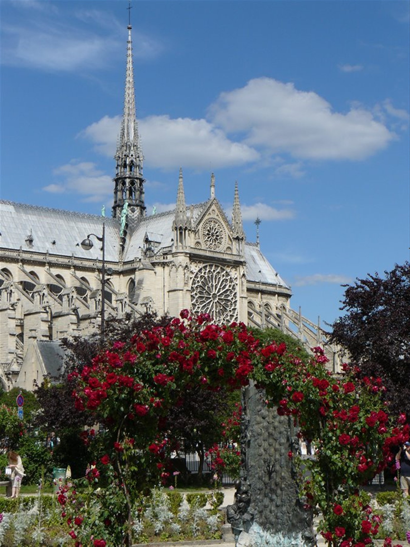 Notre Dame dal Quartiere Latino