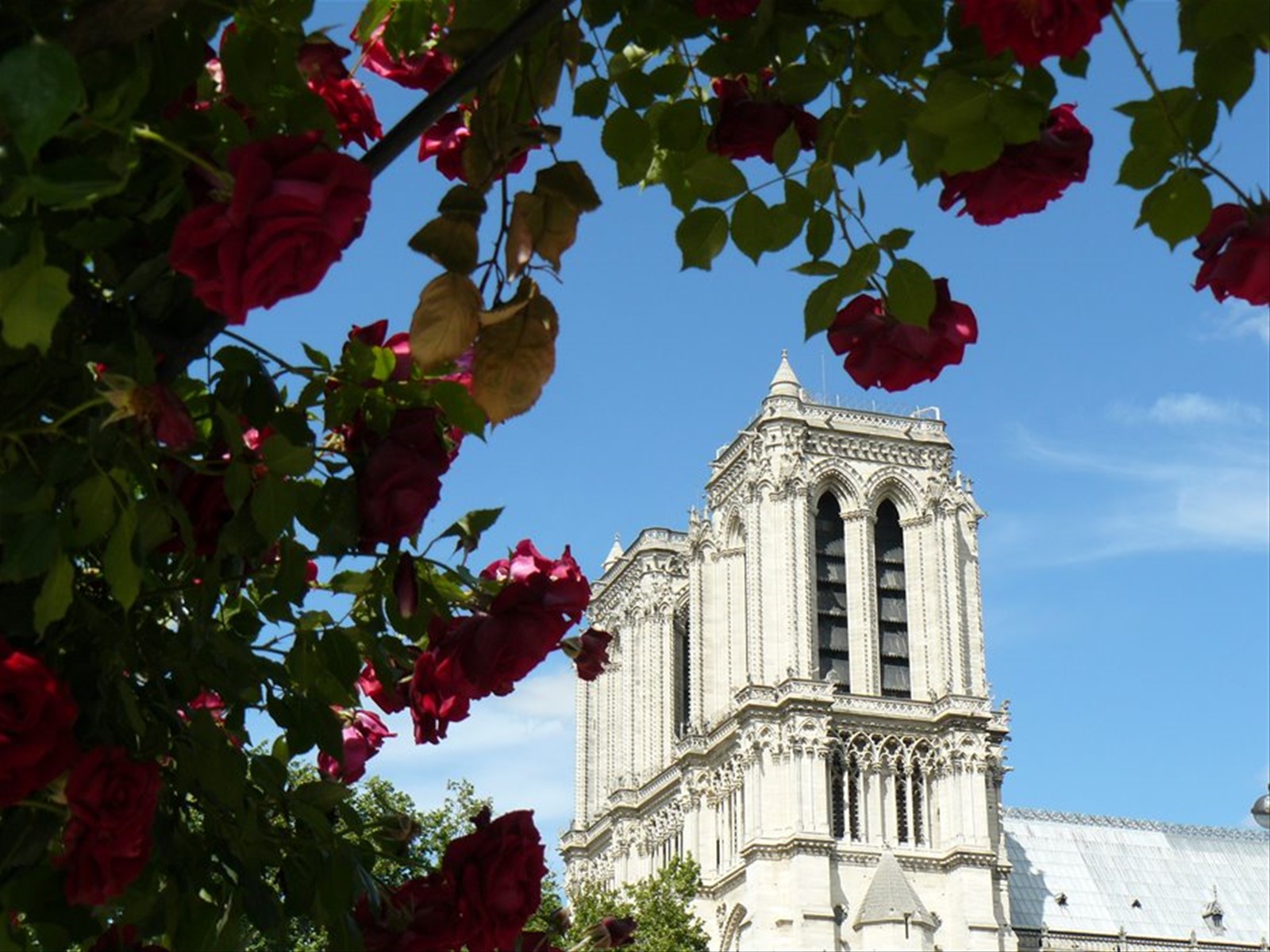 Notre Dame dal Quartiere Latino