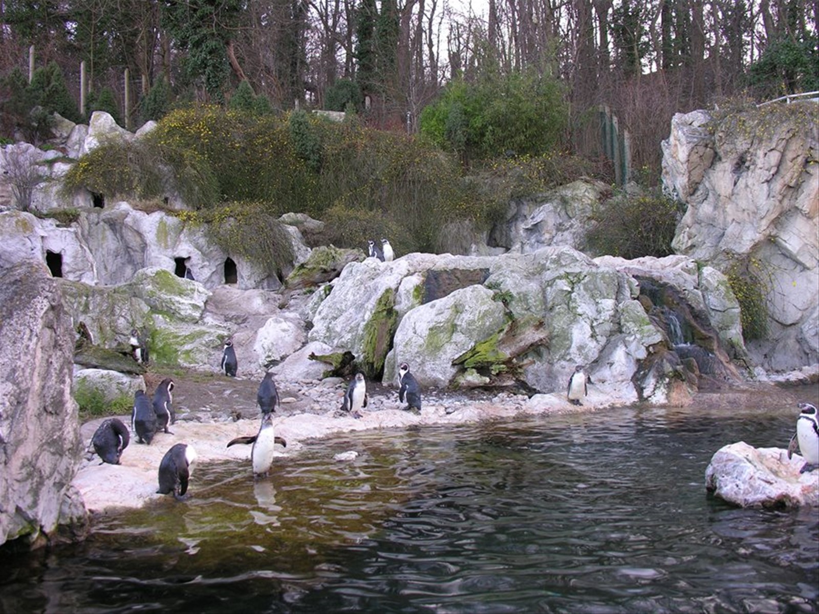 Tiergarten