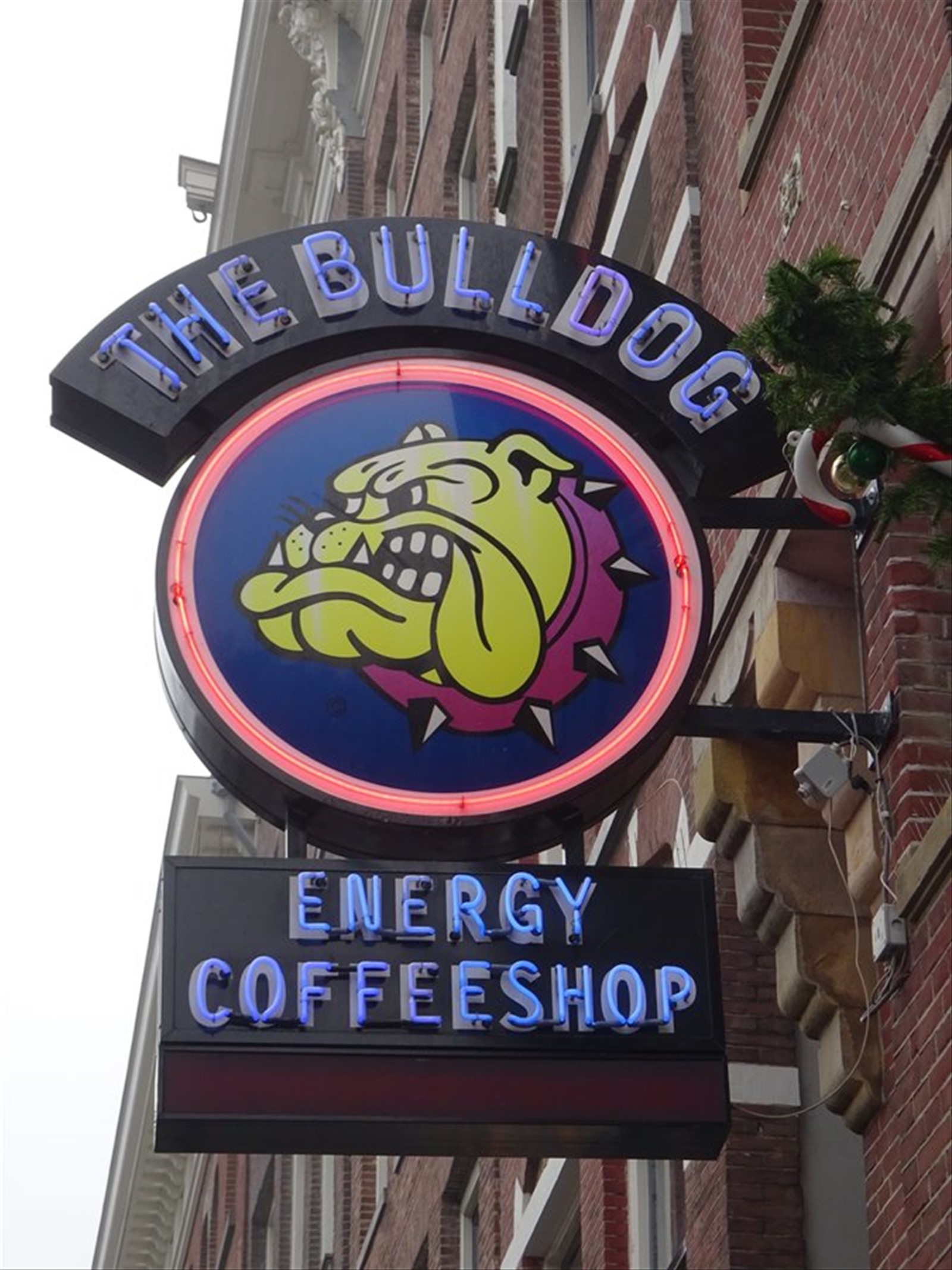 Amsterdam - Il celebre Bulldog Coffee Shop