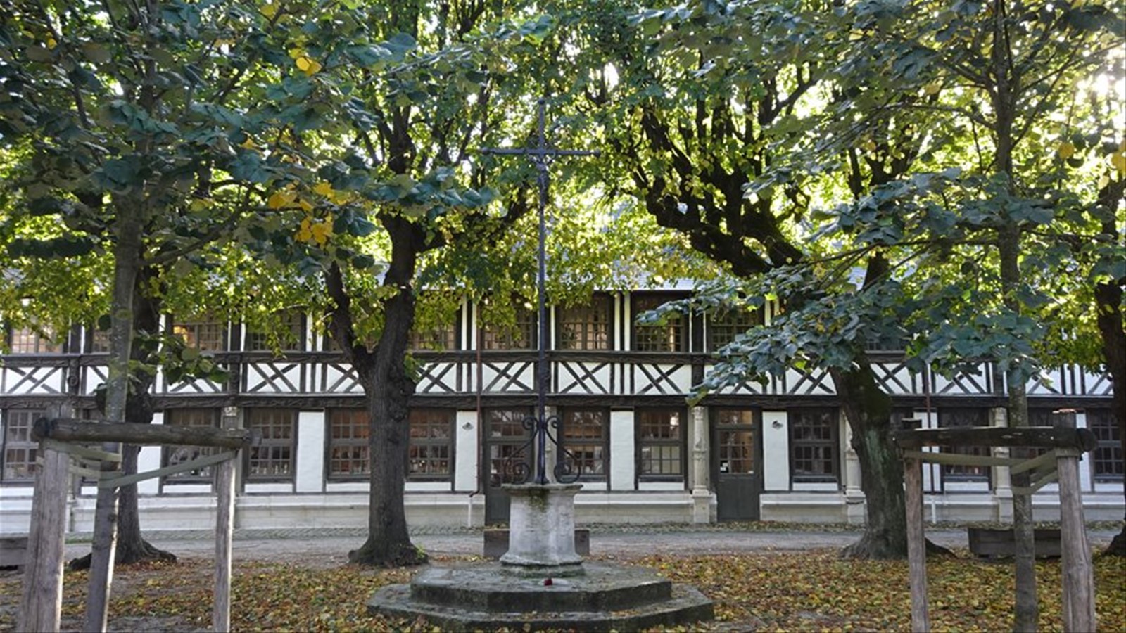 Sotto gli alberi secolari, il cortile antico custodisce storie di altri tempi.