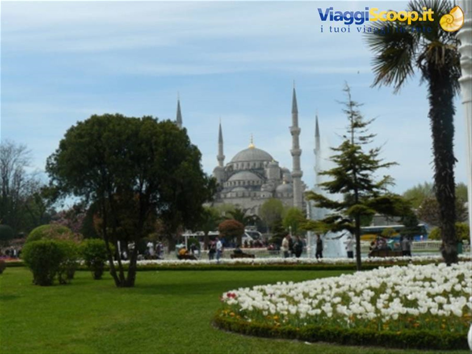Moschea Blu