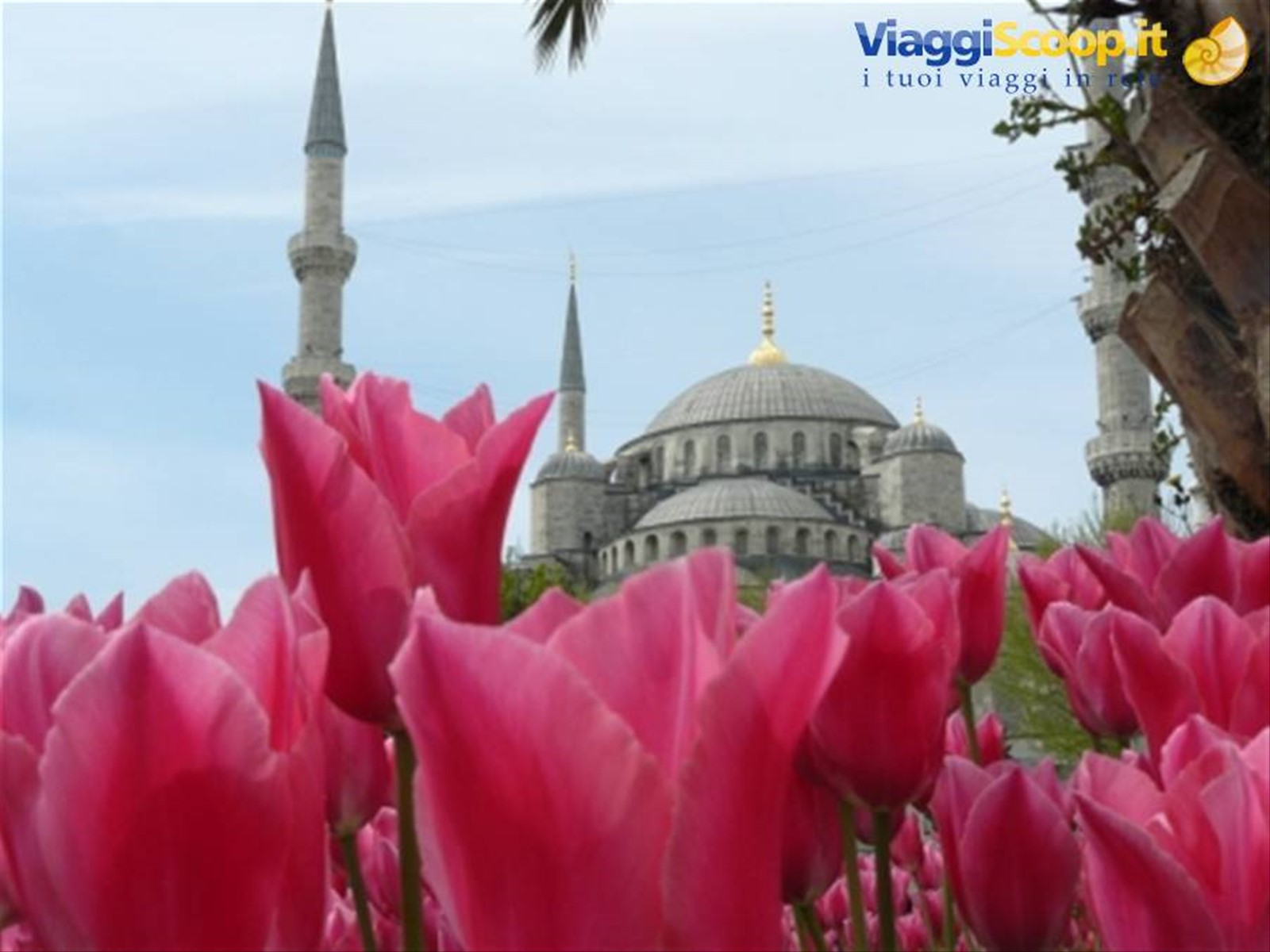 Moschea Blu