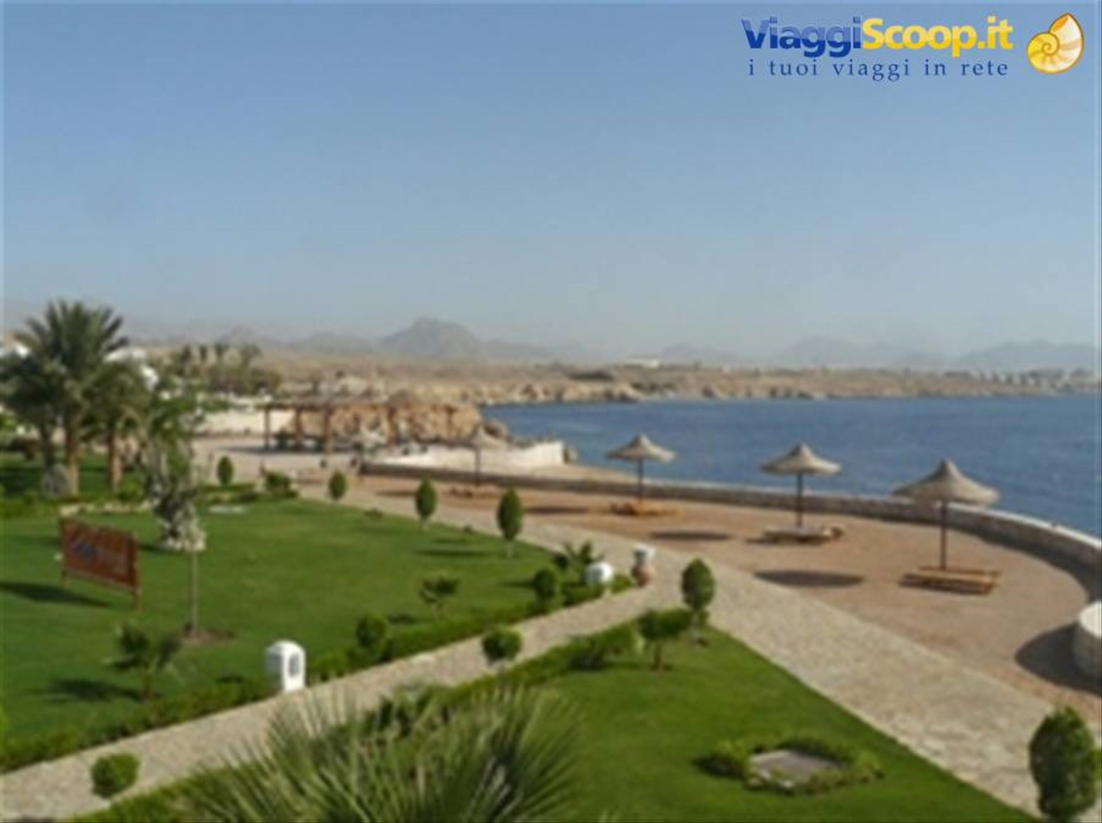 Sharm Club