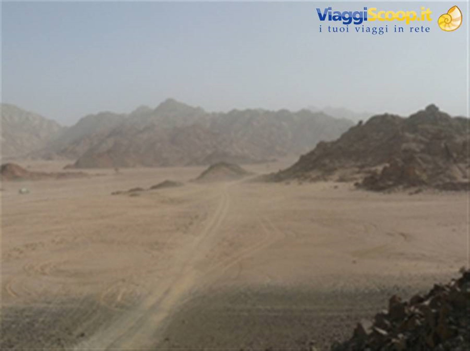 Deserto del Sinai