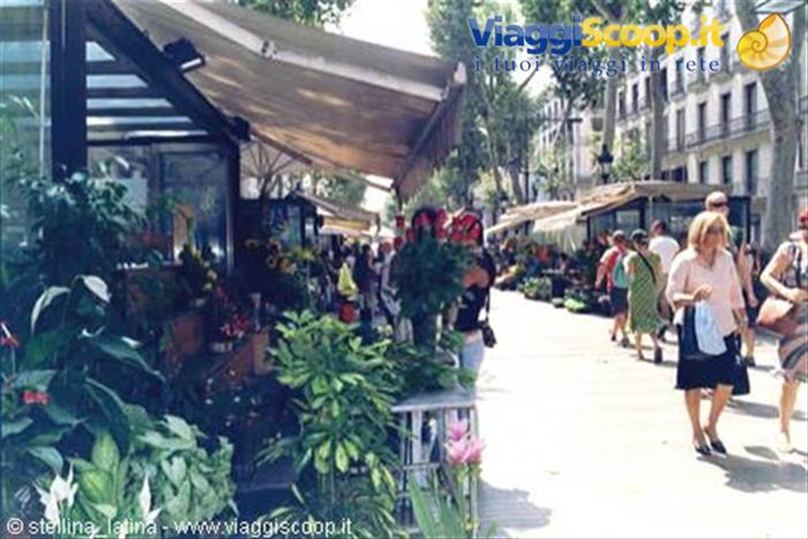 Las Ramblas