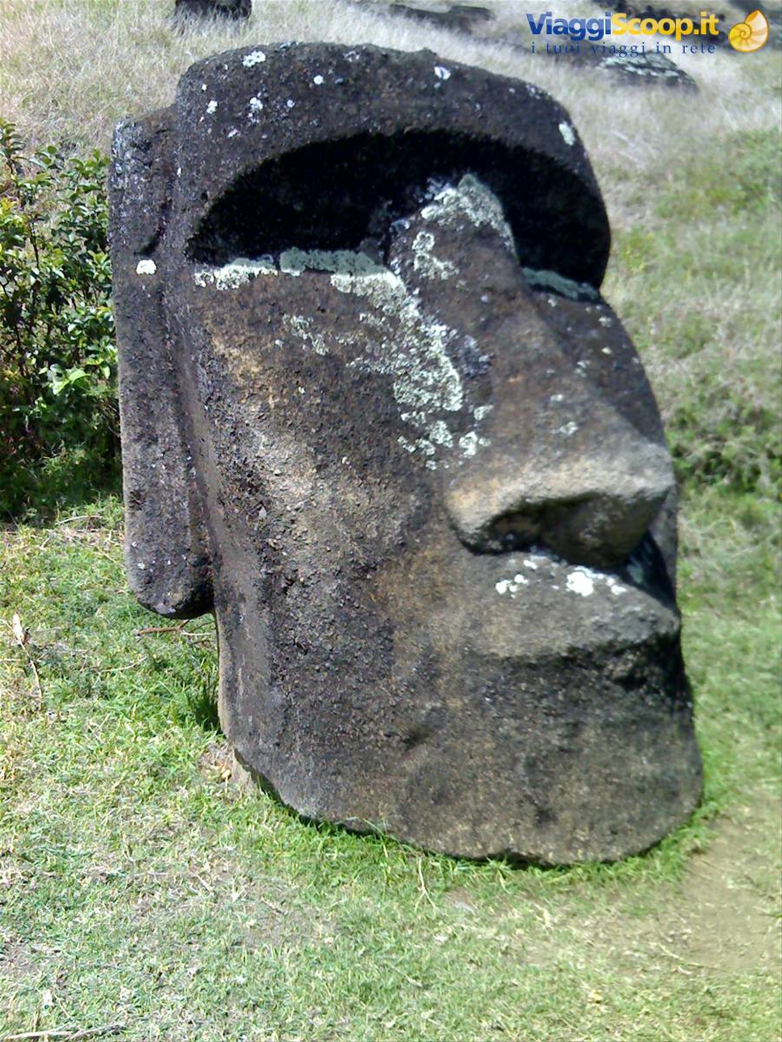 RAPA NUI