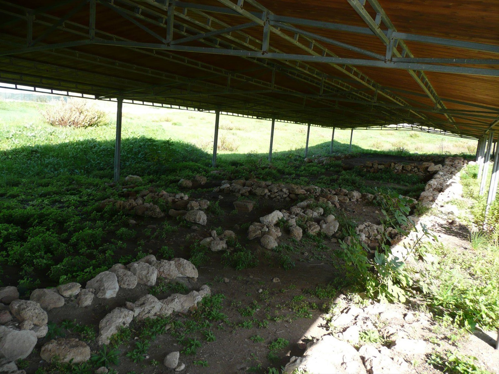 THAPSOS