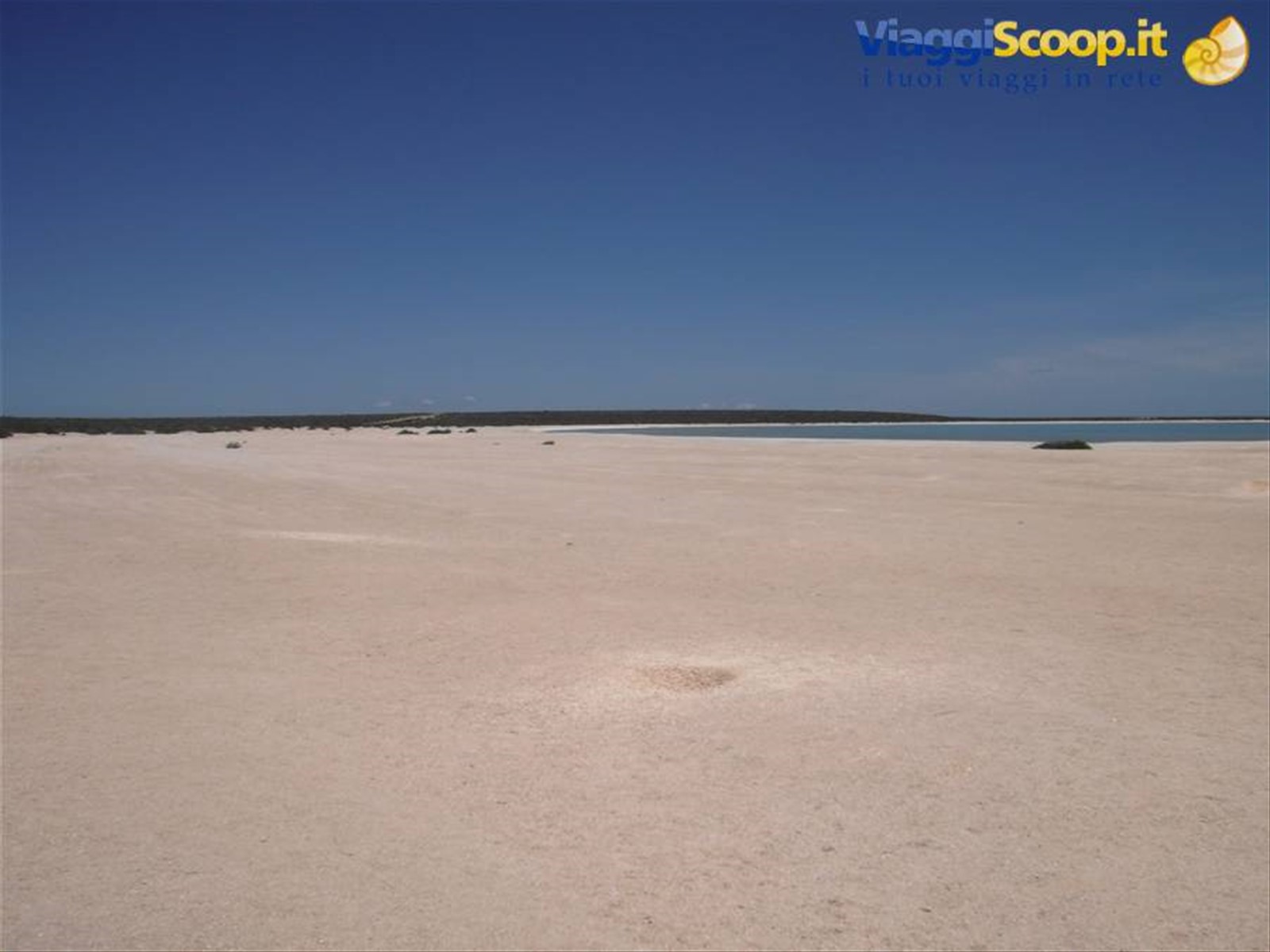 Shell Beach