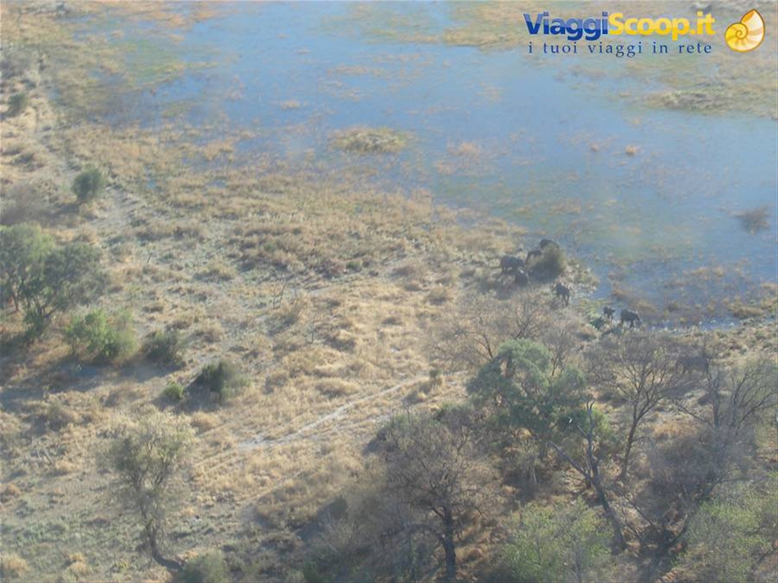 Foto di viaggio in BOTSWANA