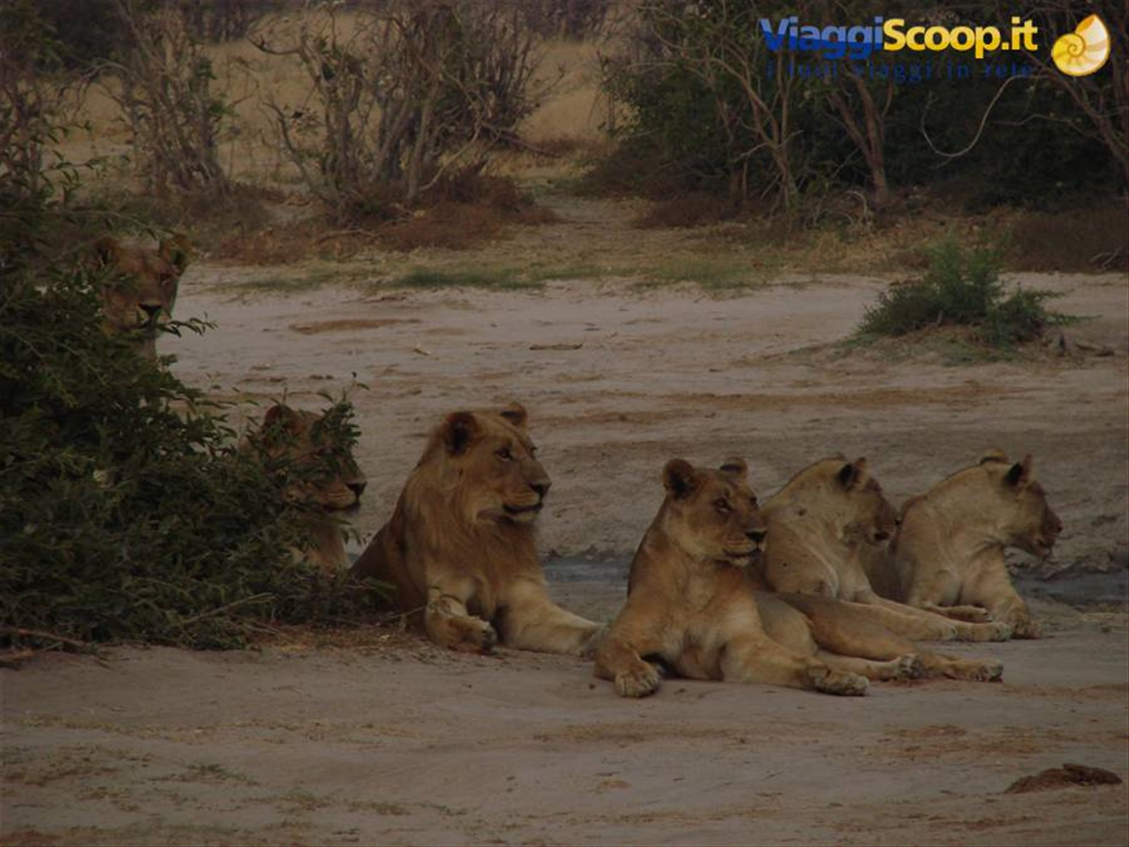 Foto di viaggio in BOTSWANA