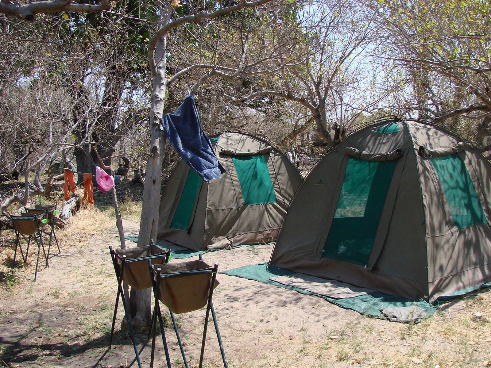 Foto di viaggio in BOTSWANA