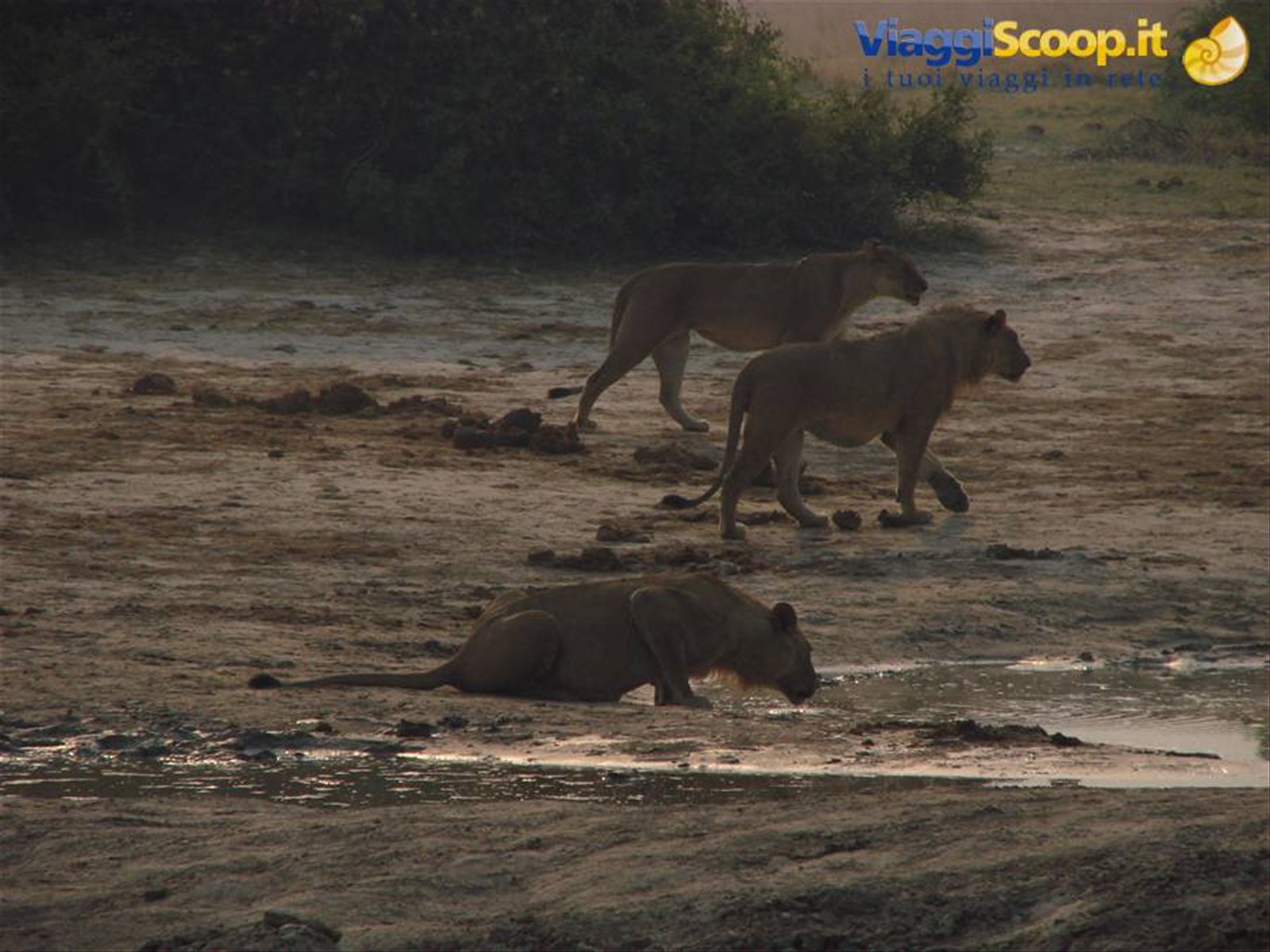 Foto di viaggio in BOTSWANA