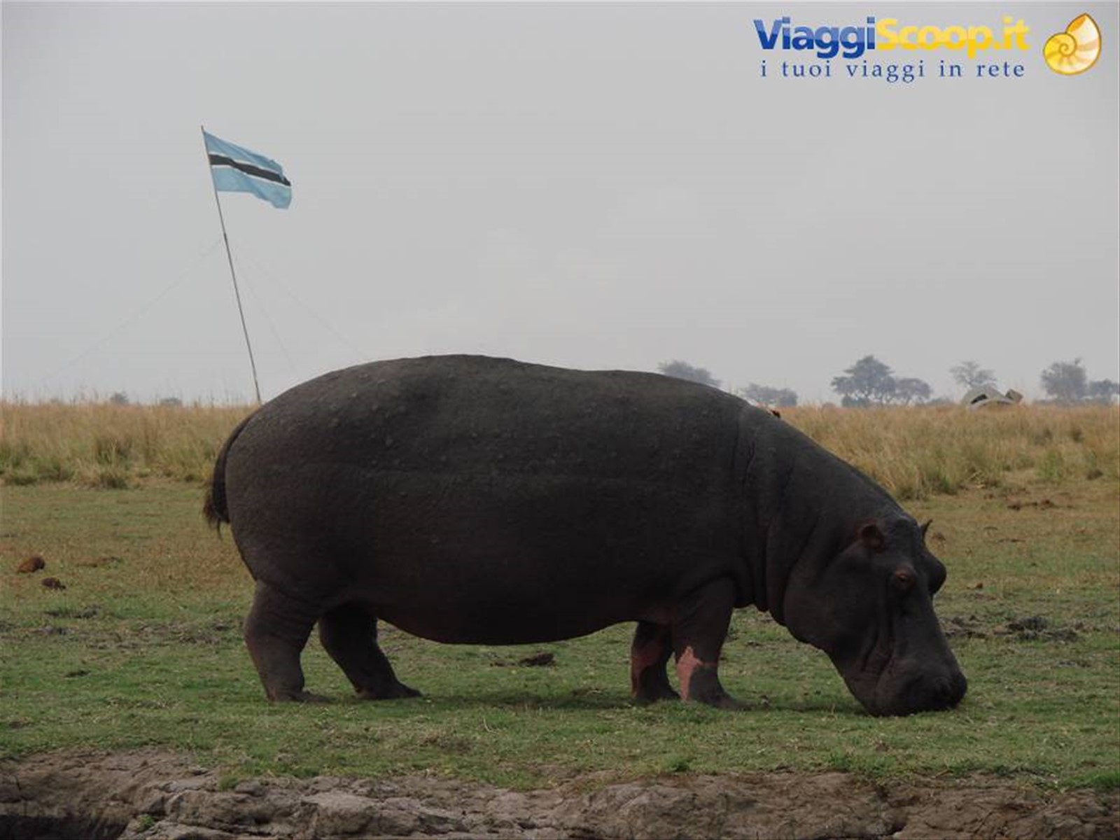 Foto di viaggio in BOTSWANA