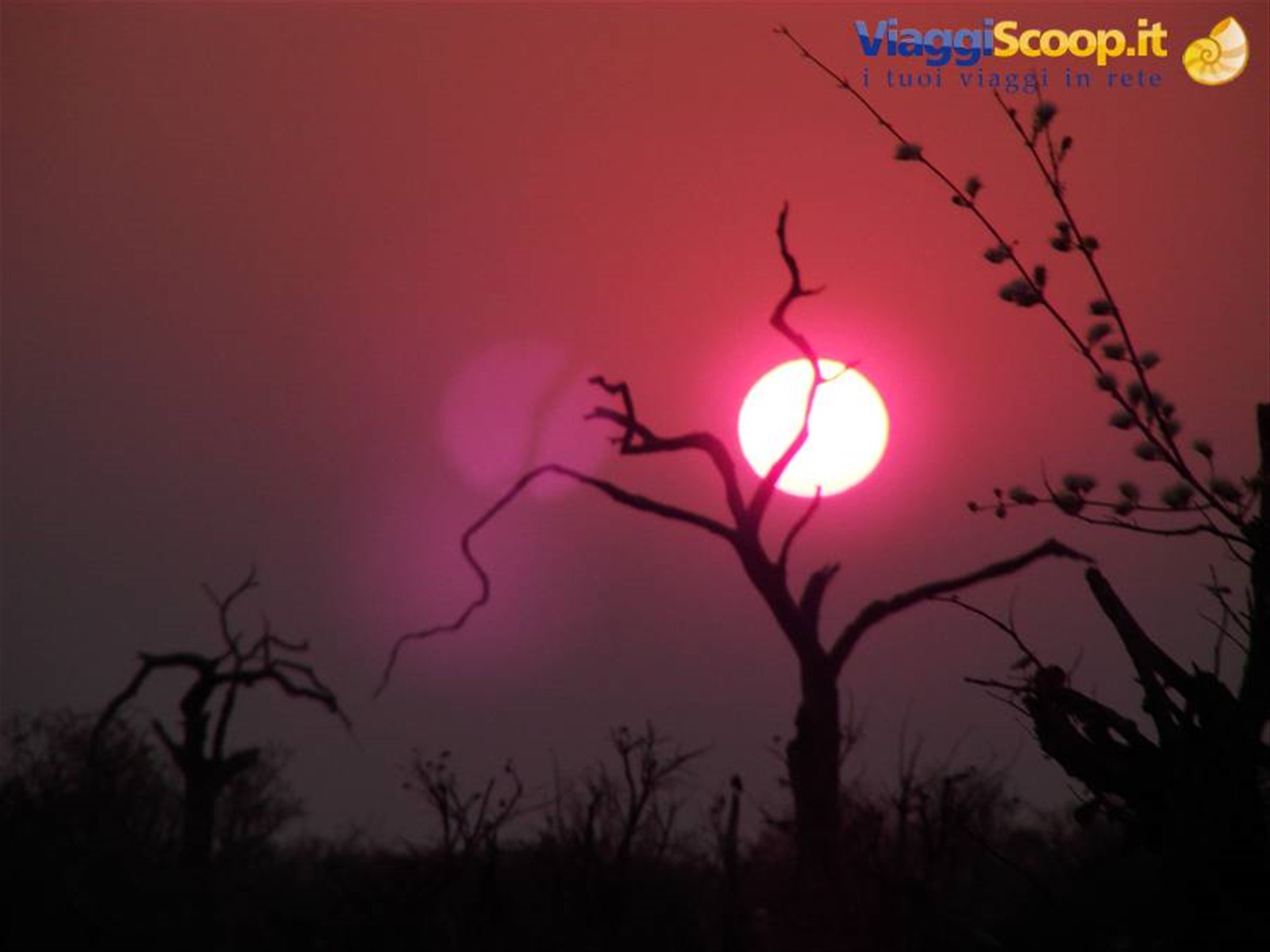 Foto di viaggio in BOTSWANA