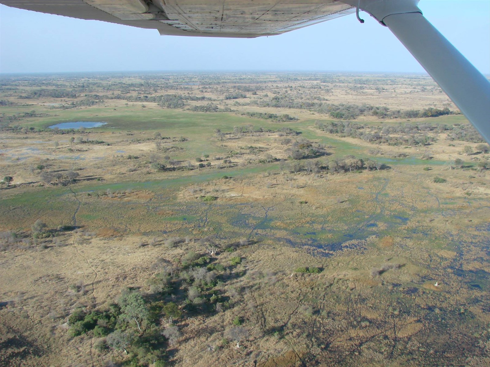 Foto di viaggio in BOTSWANA