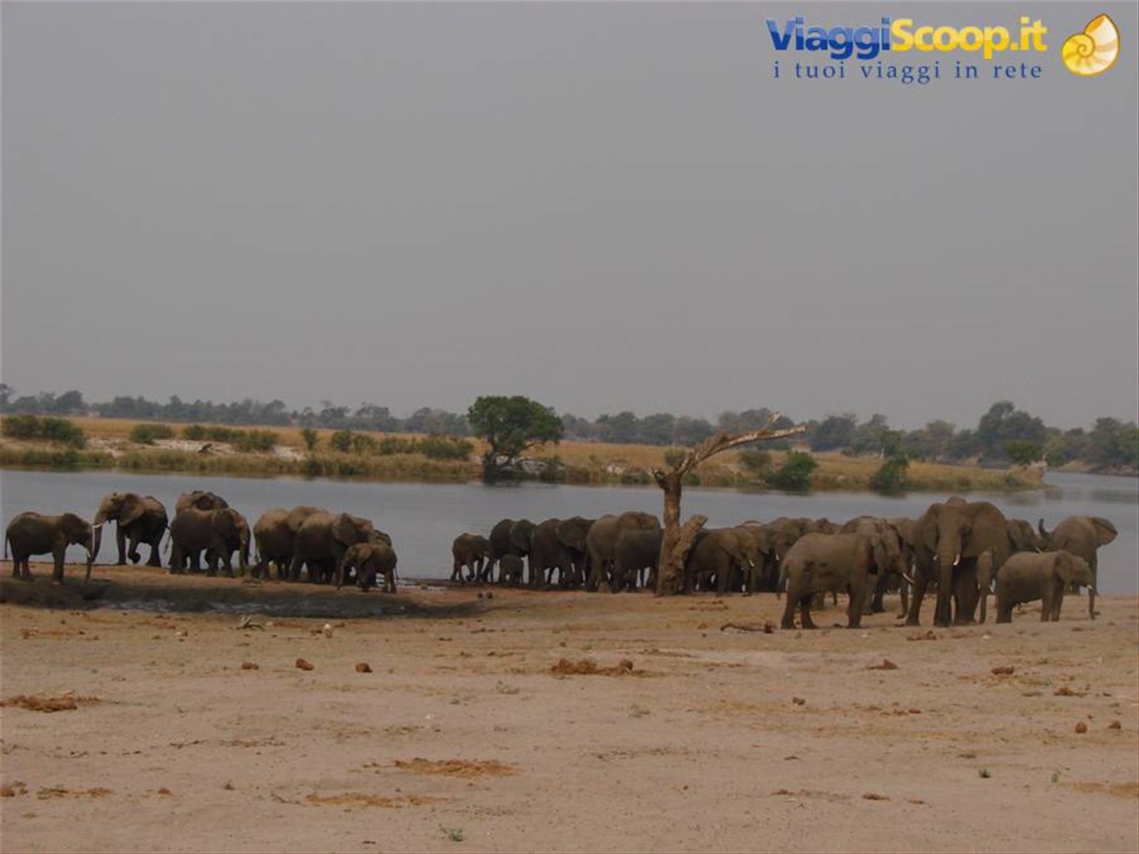 Foto di viaggio in BOTSWANA