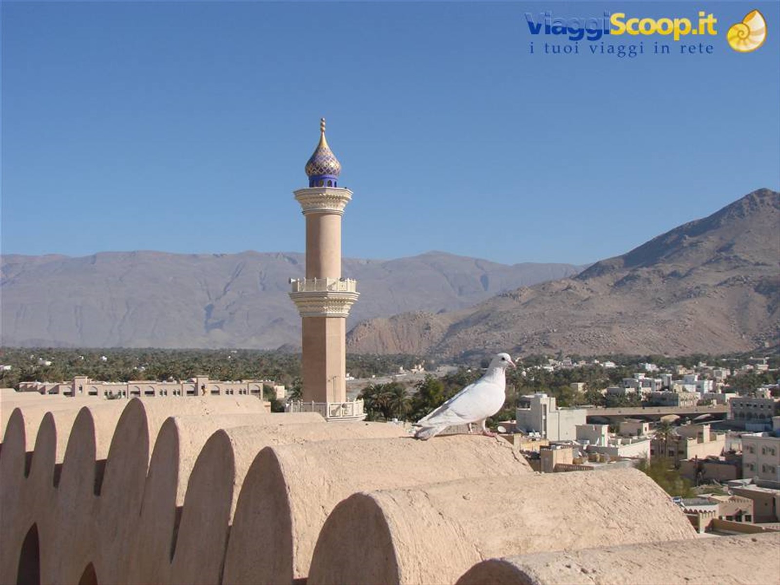Foto di viaggio in OMAN