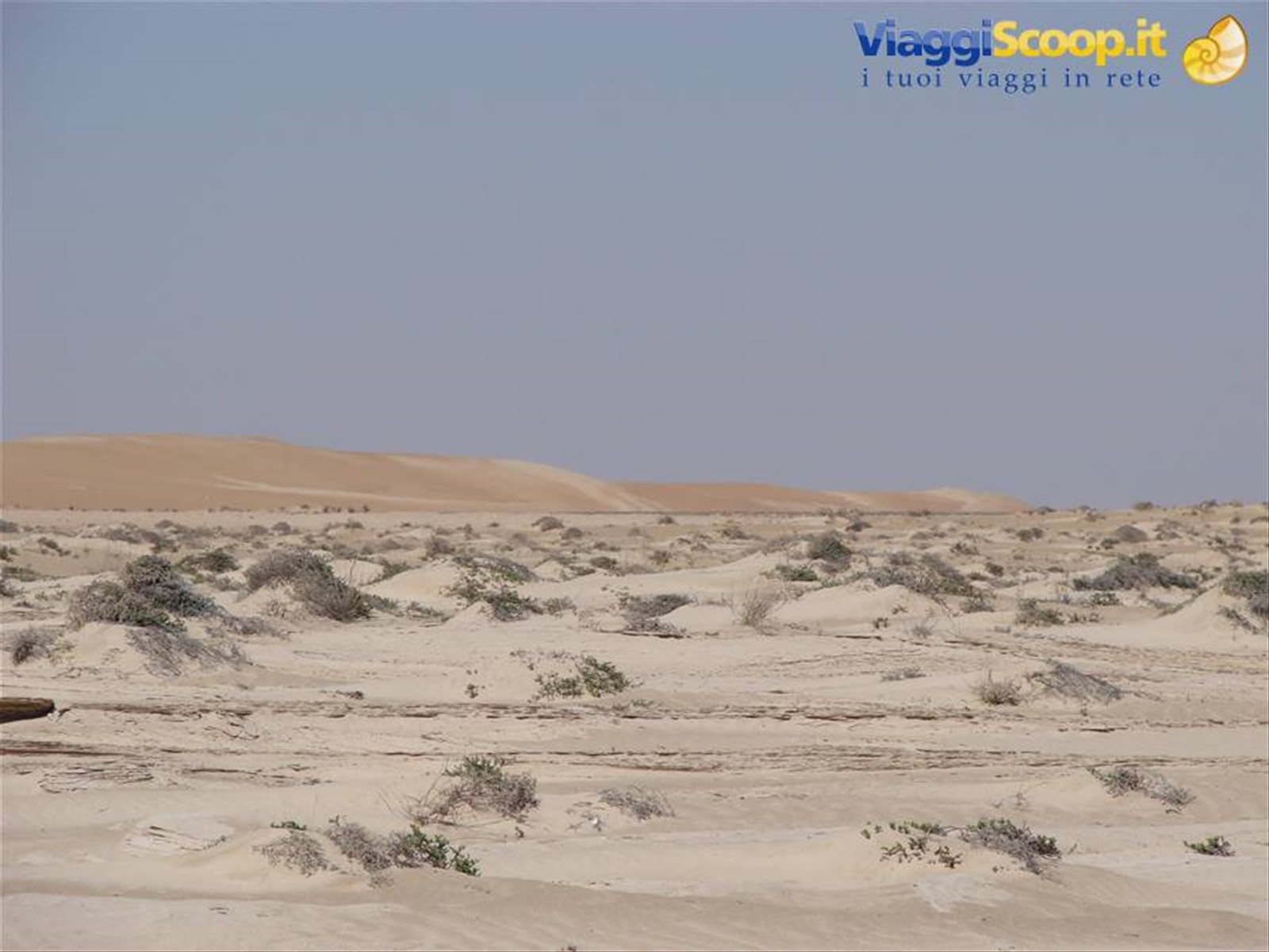 Foto di viaggio in OMAN