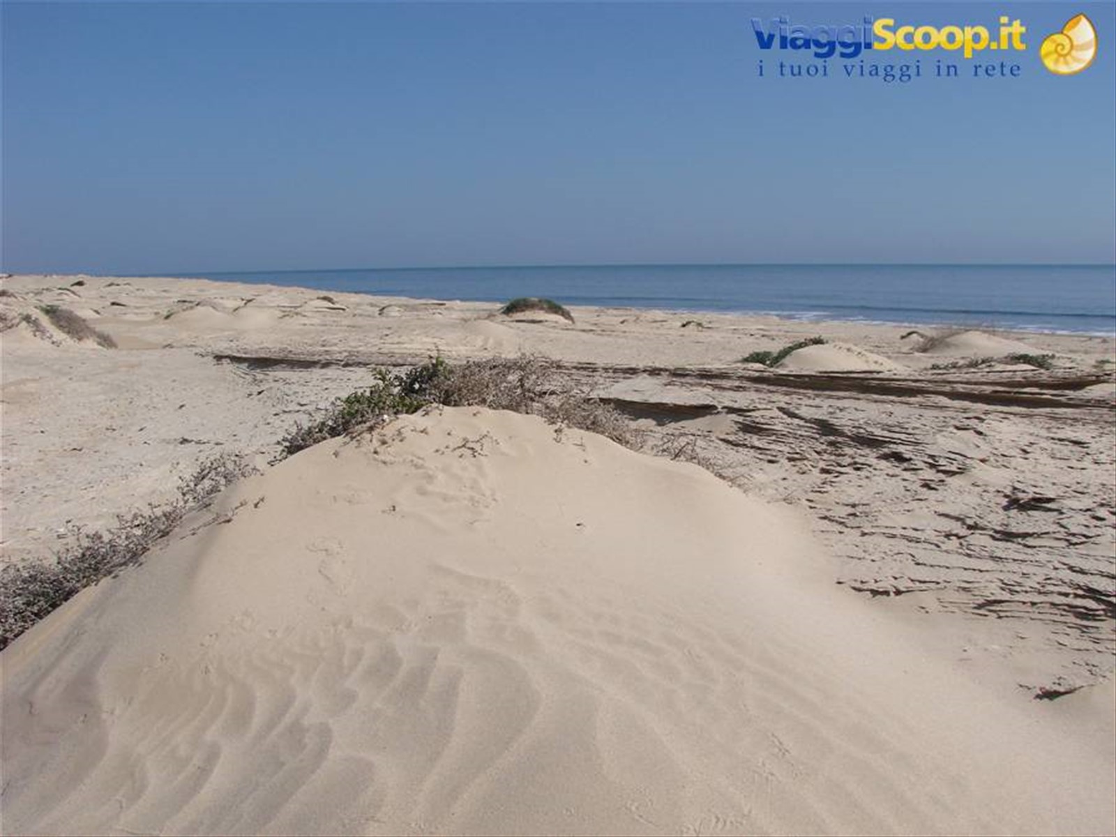 Foto di viaggio in OMAN