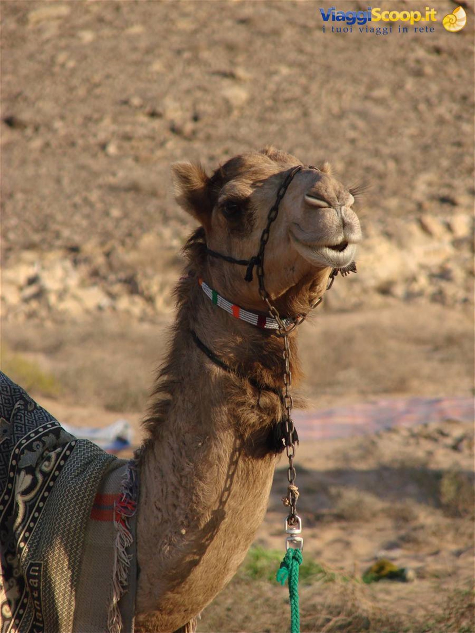 Foto di viaggio in OMAN