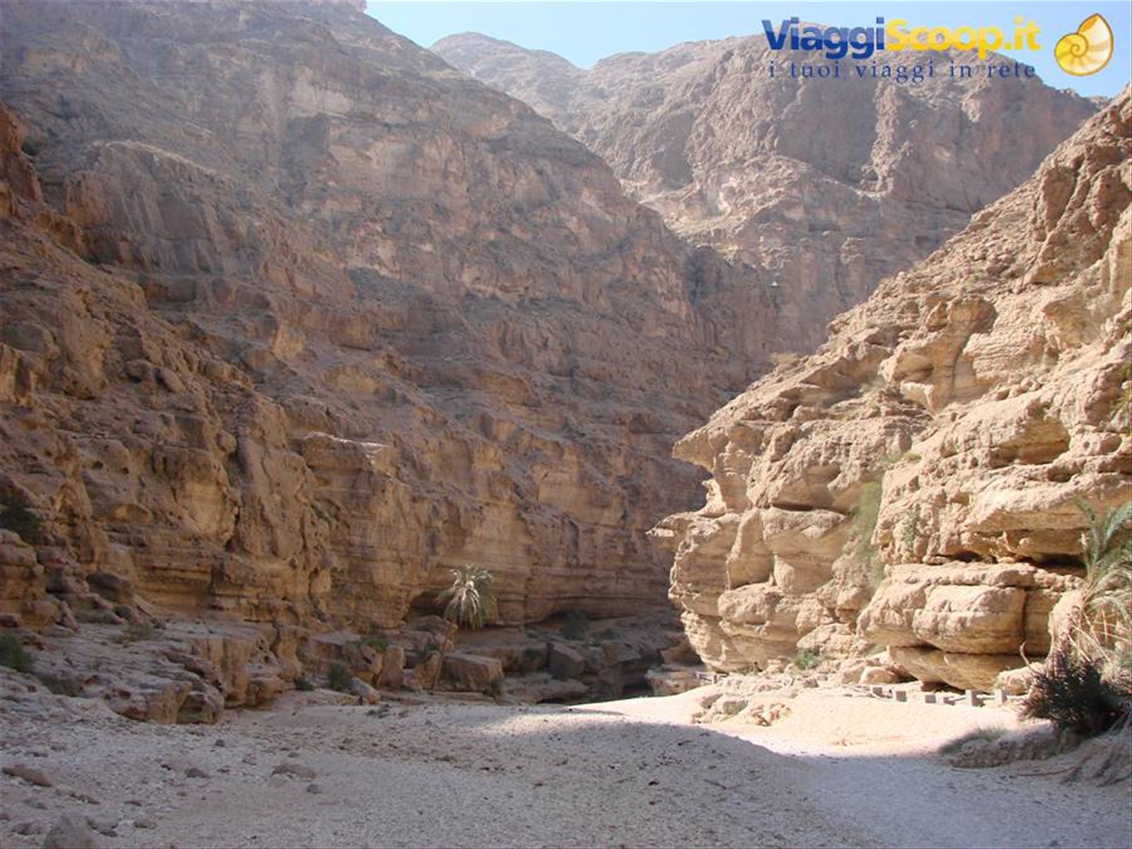 Wadi Sabh