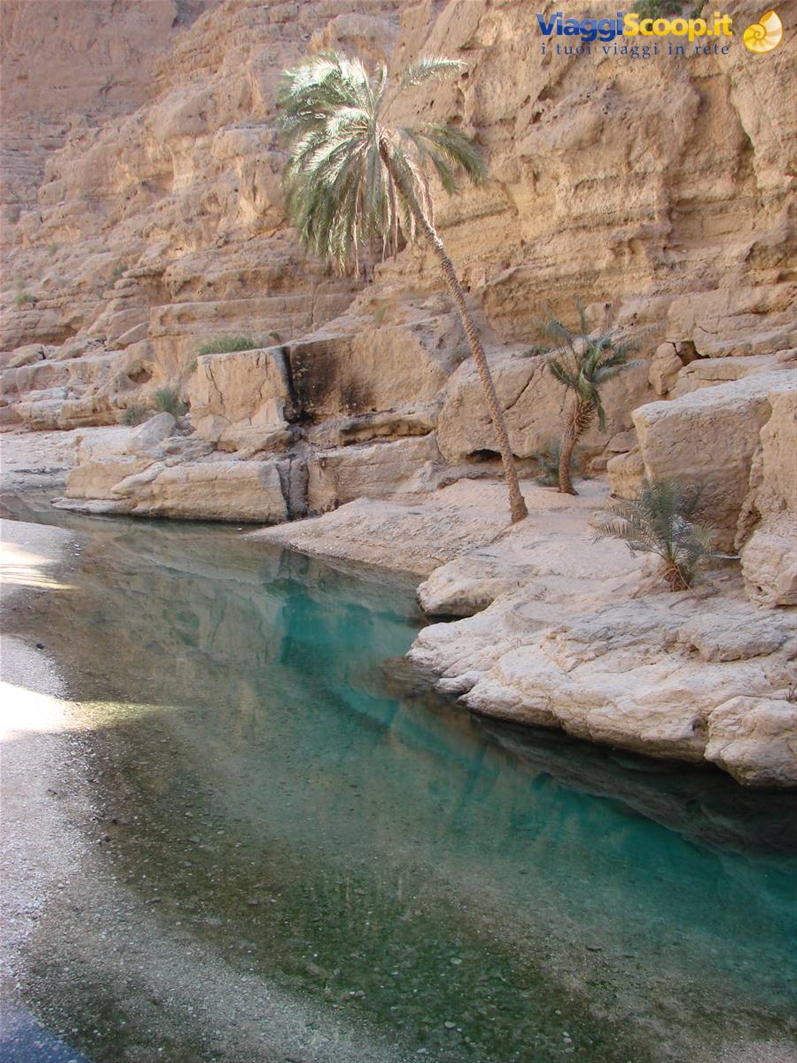 Foto di viaggio in OMAN