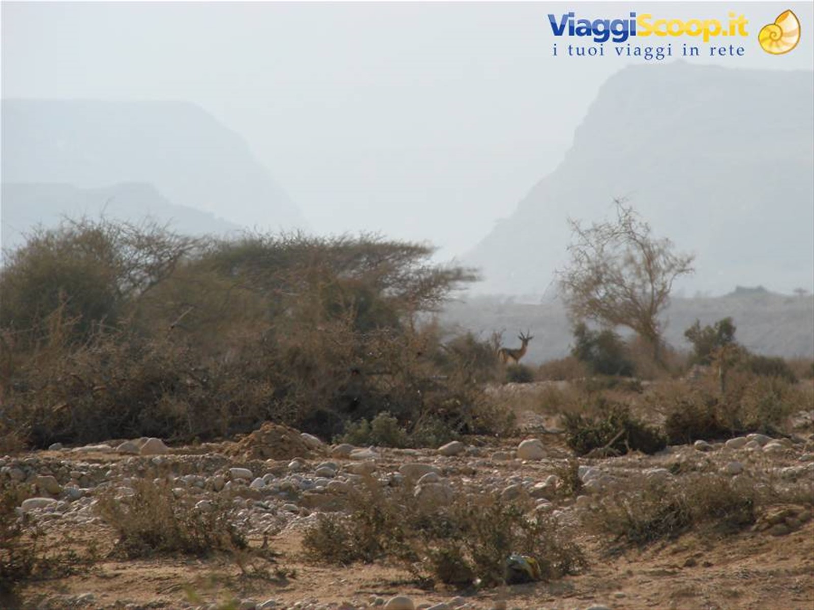 Foto di viaggio in OMAN