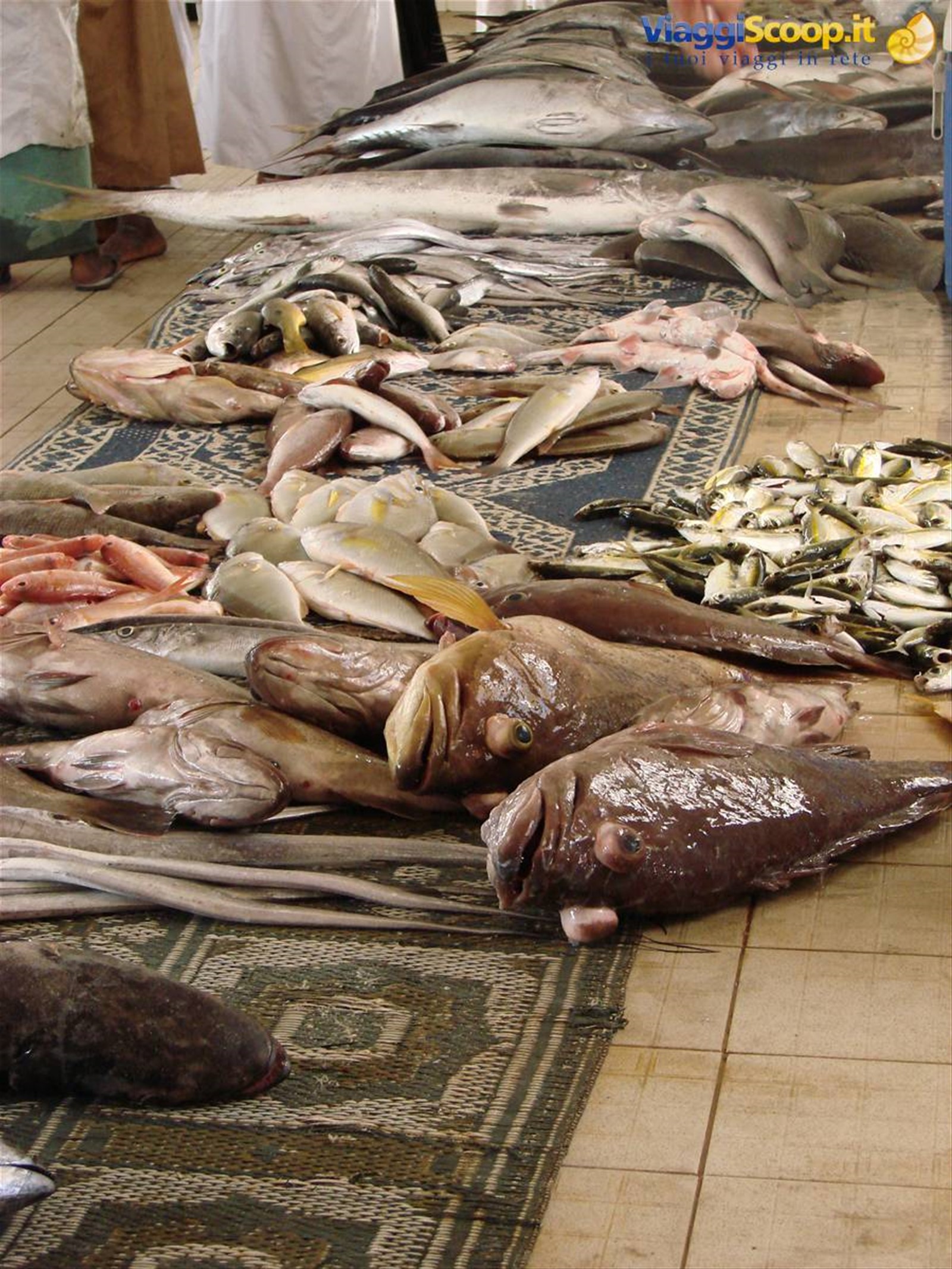 mercato del pesce a Mutrah