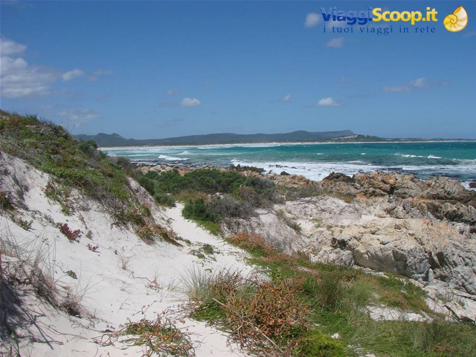 pearly beach