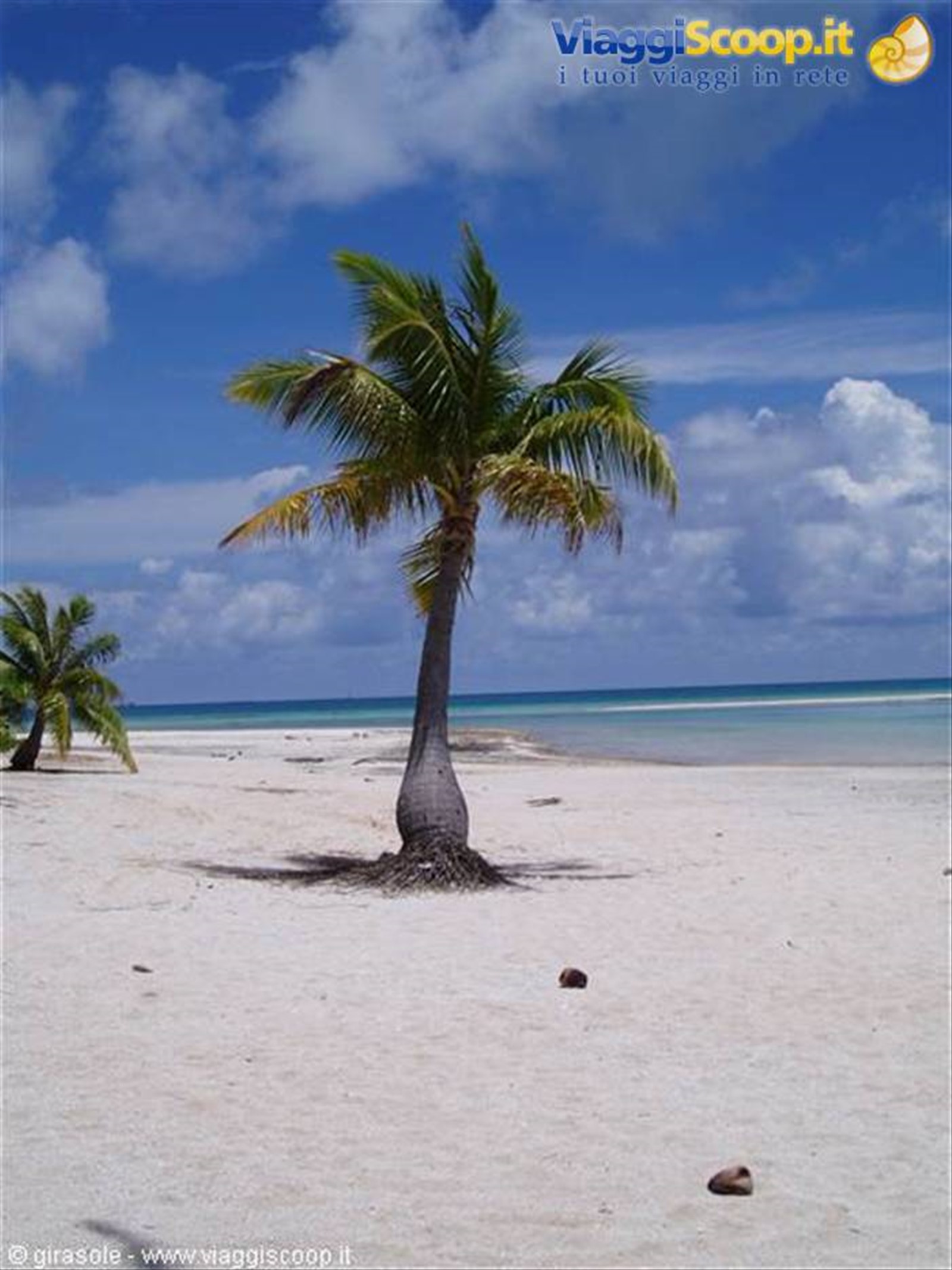 tratto di spiaggia a Tikehau