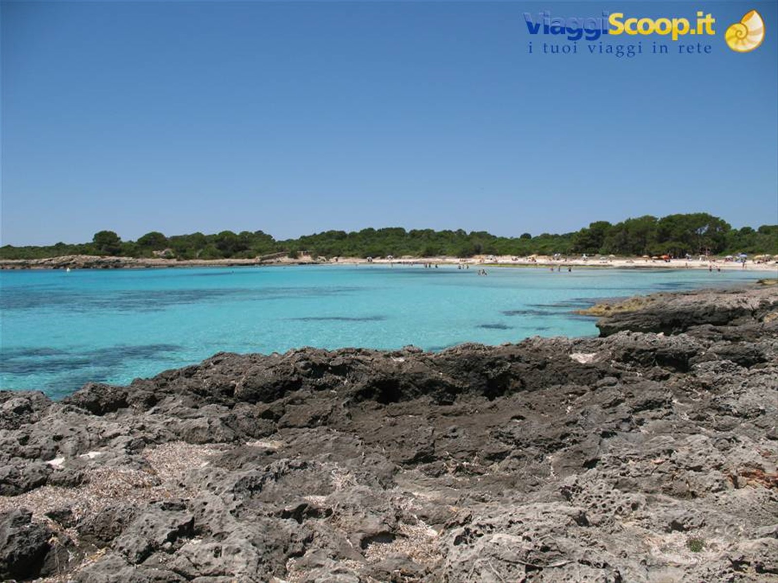 Son Saura