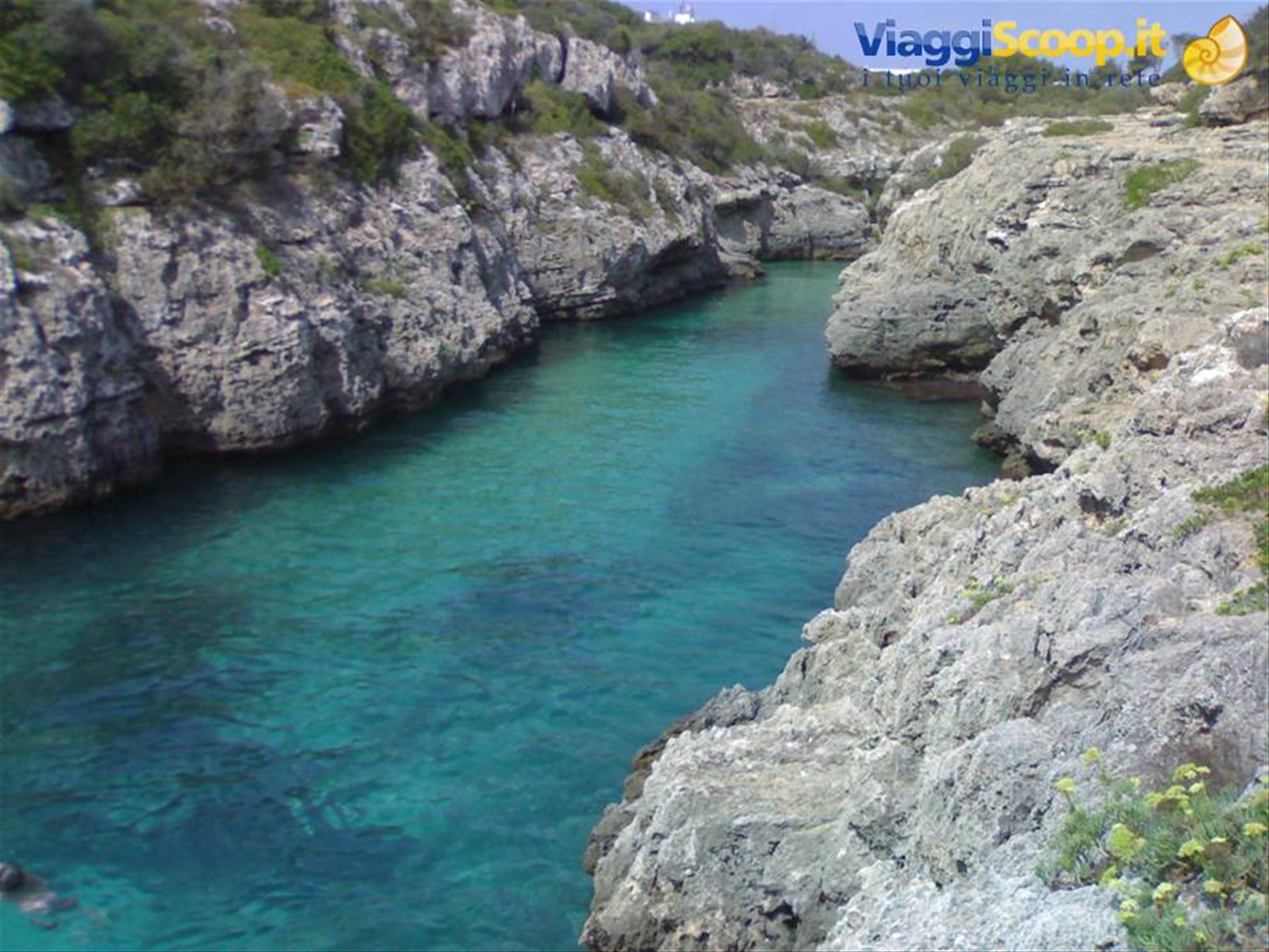Foto di viaggio in SPAGNA