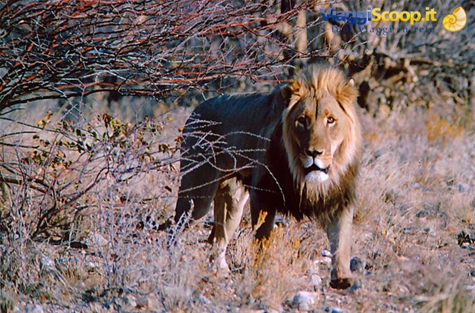 namibia