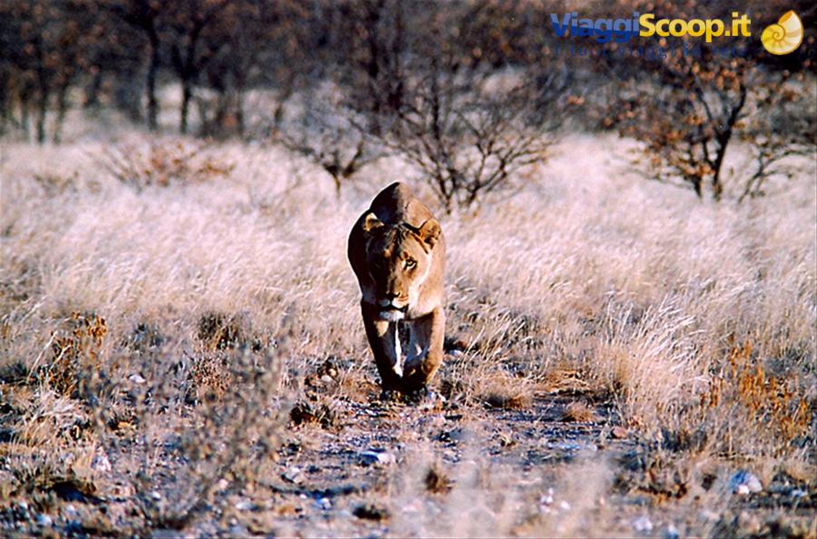 namibia