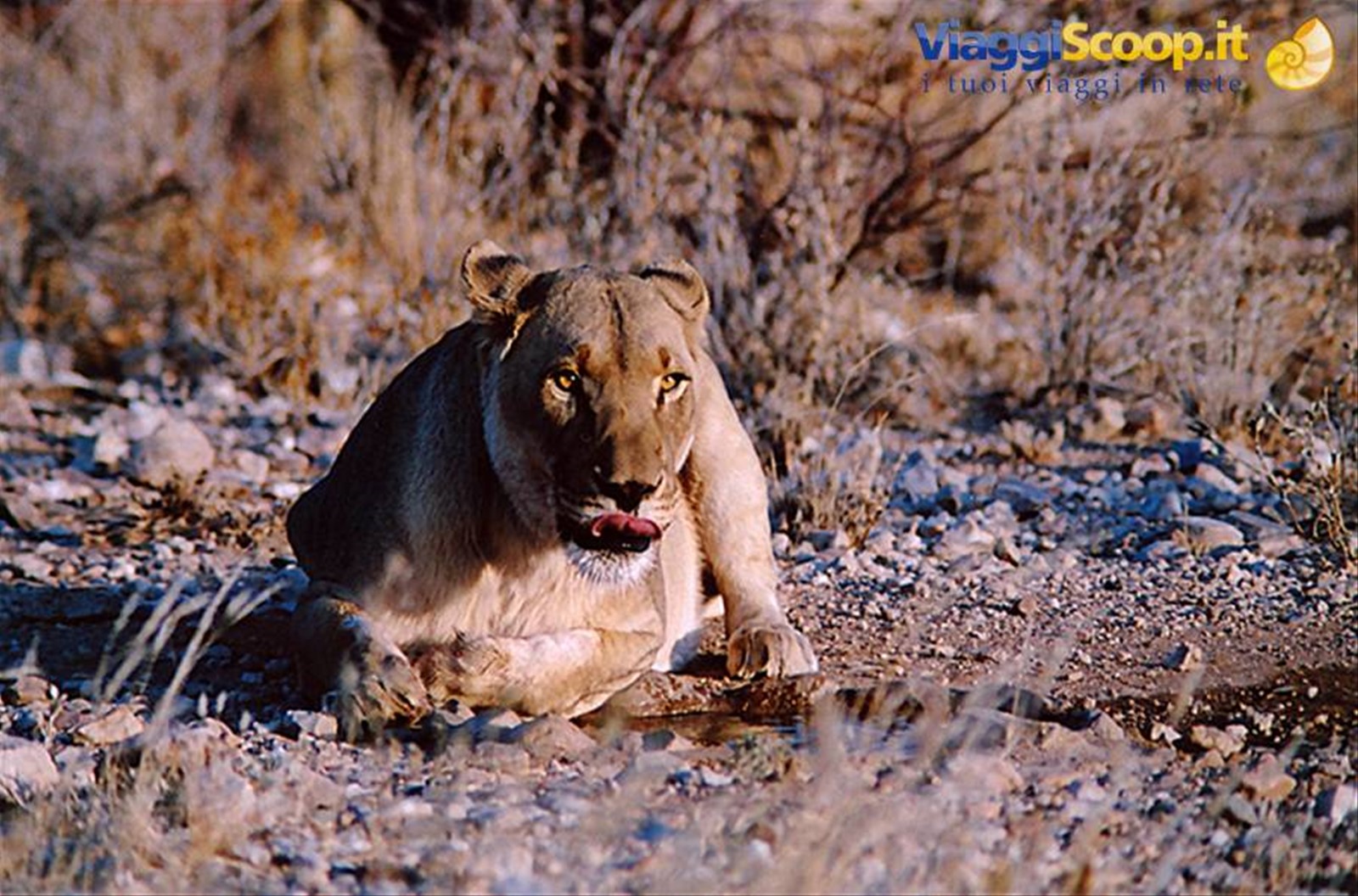 namibia