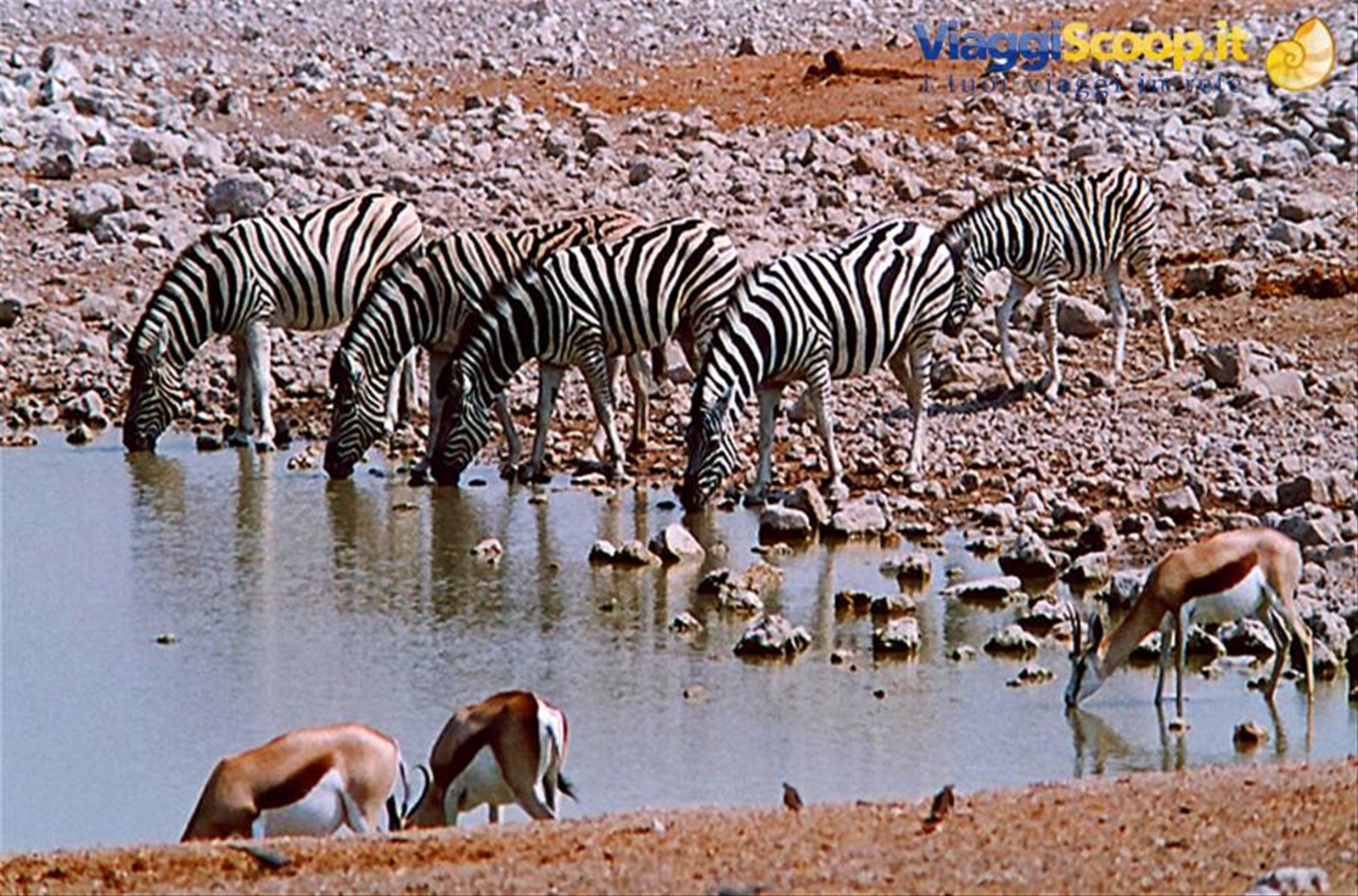 namibia