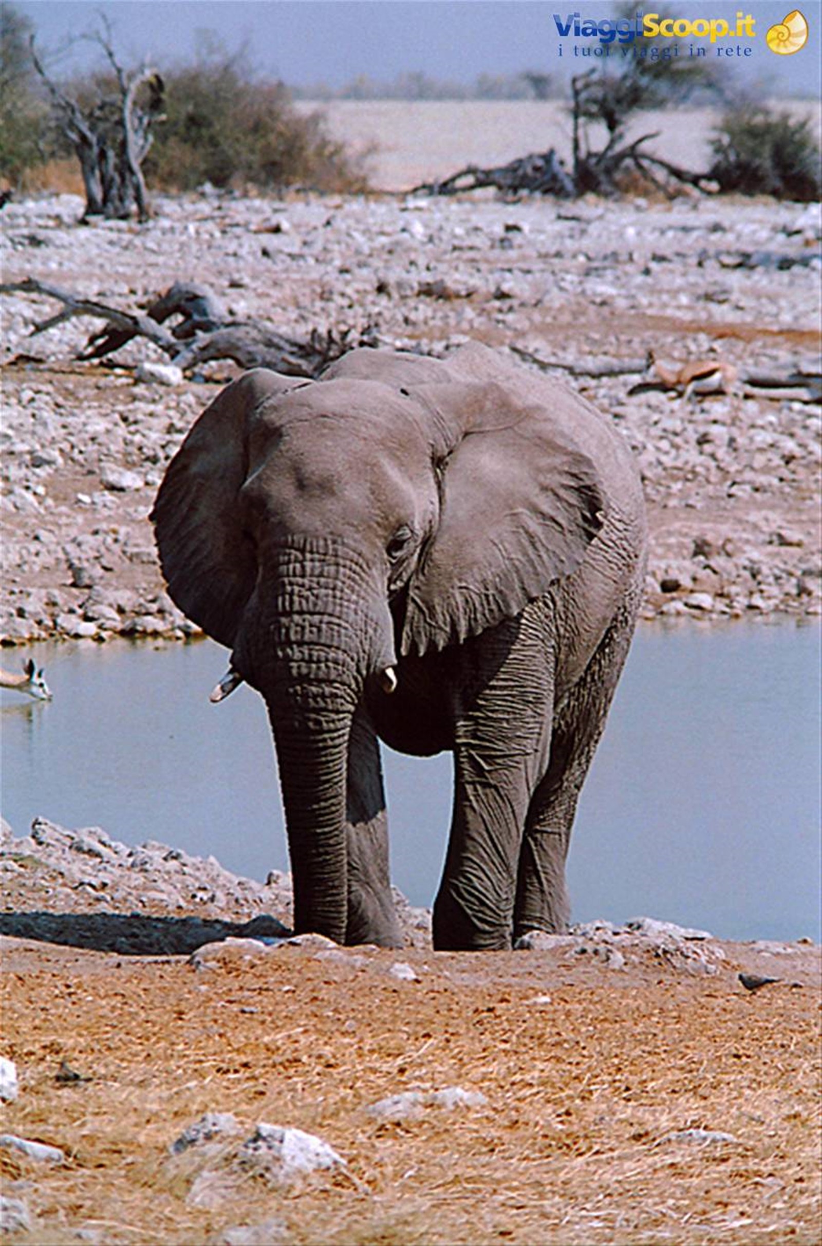 namibia