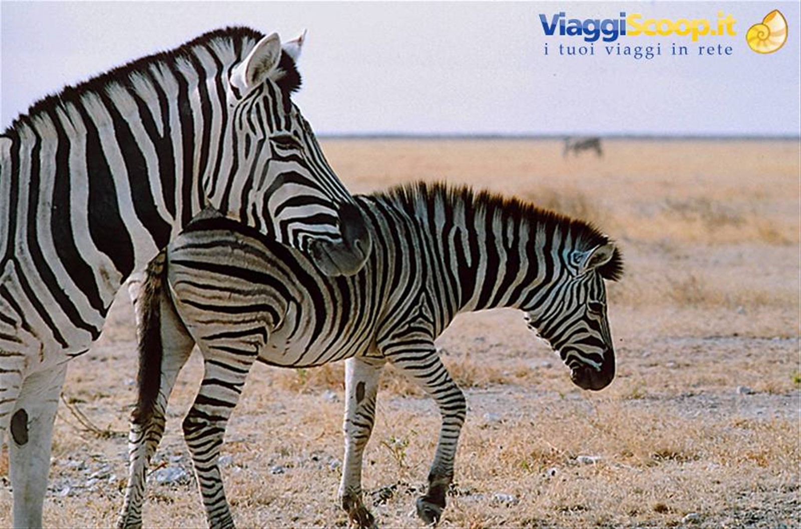 namibia