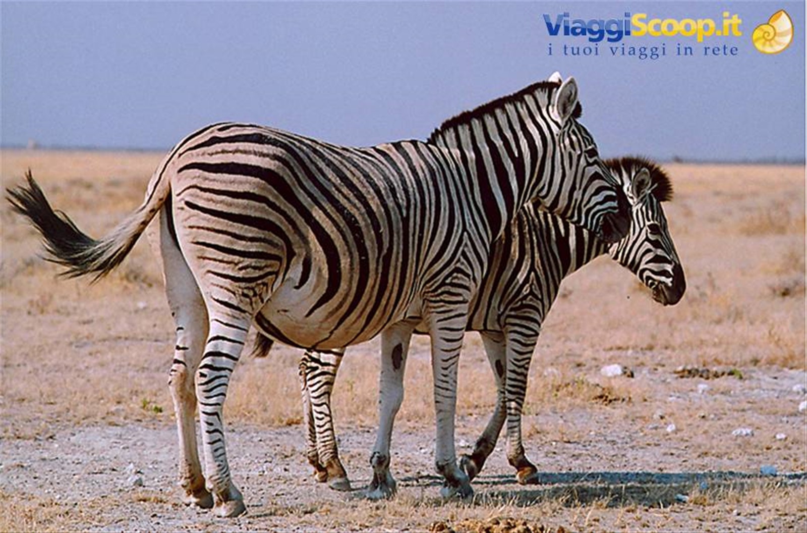 namibia