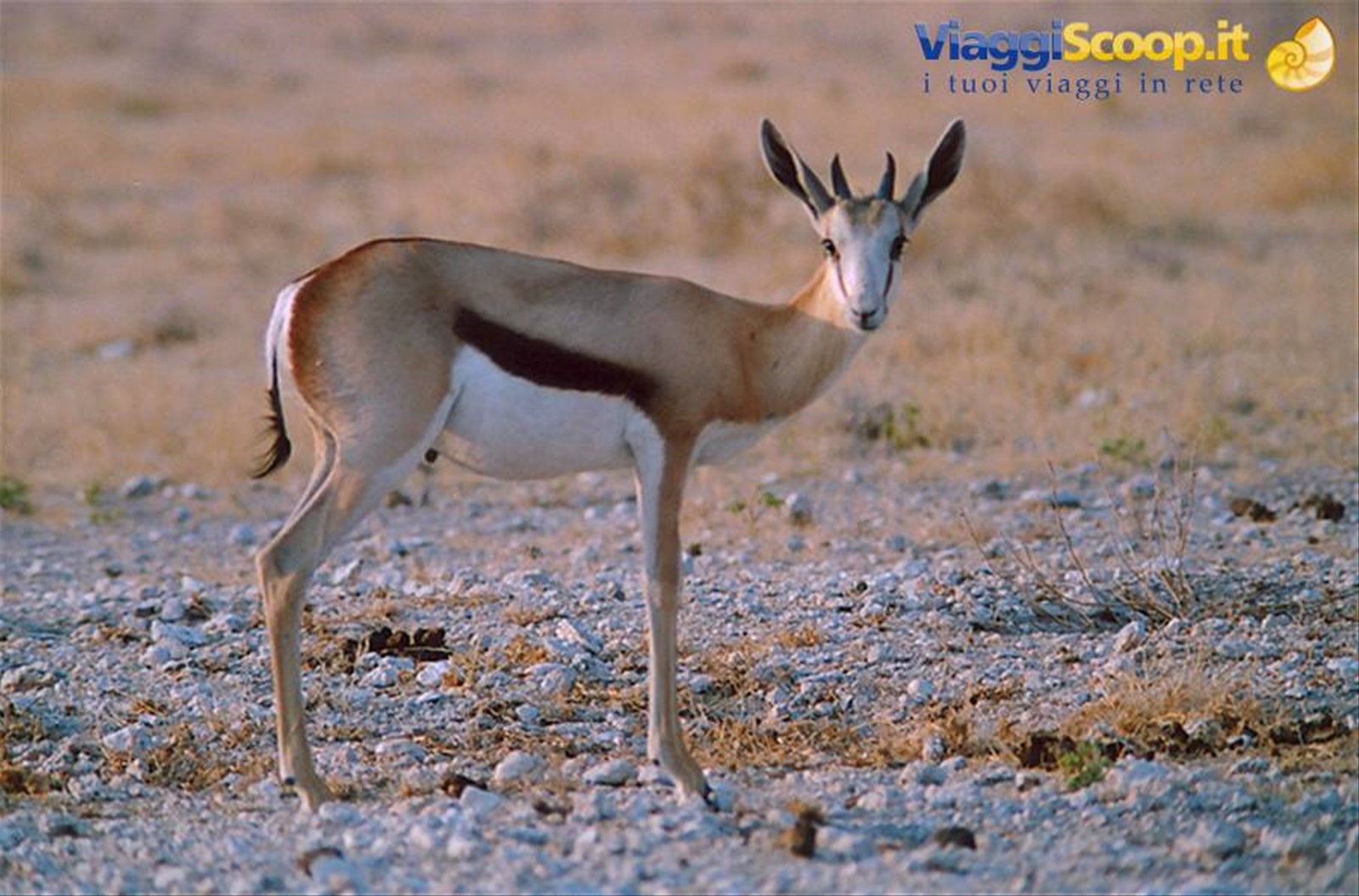 namibia