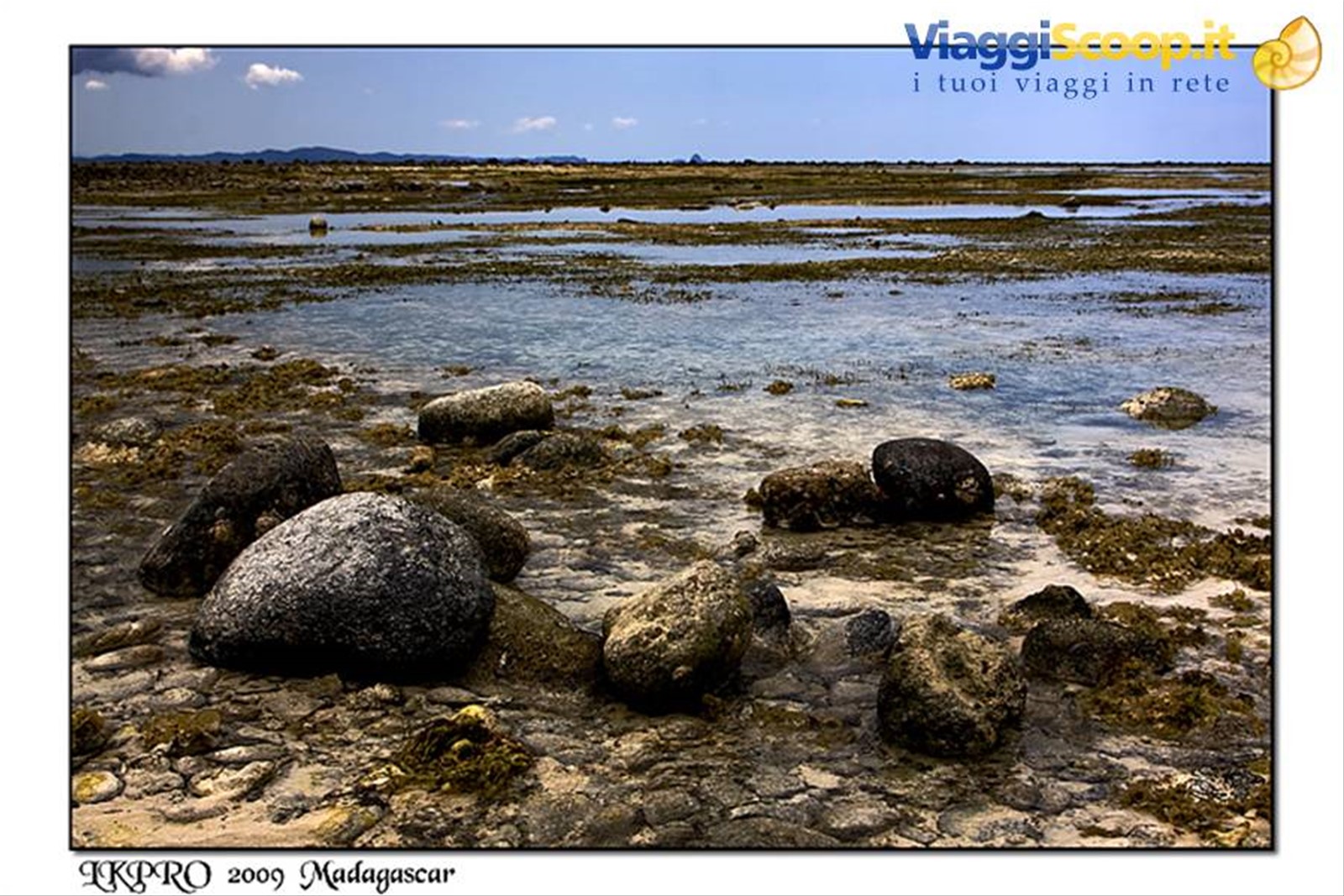 Particolari dal Madagascar